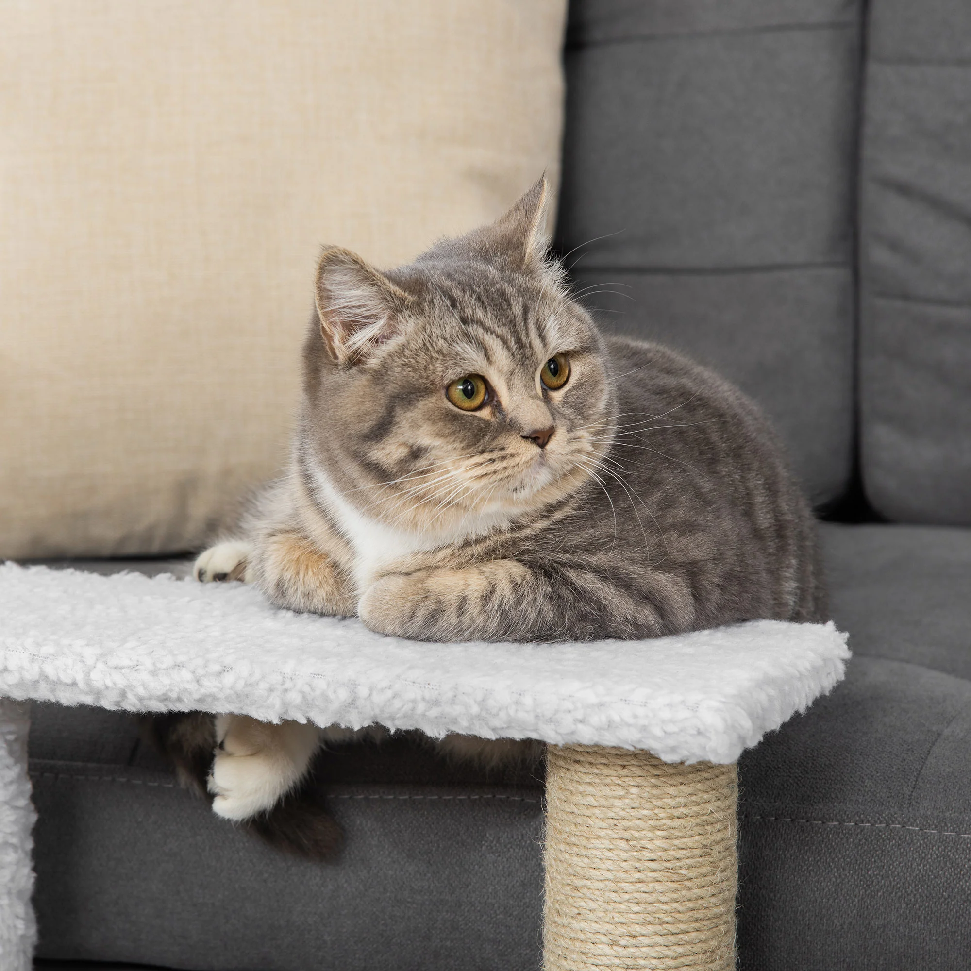 PawHut Pet Stair with 3-step Climb Ladder, Scratching Posts, White - Image 9