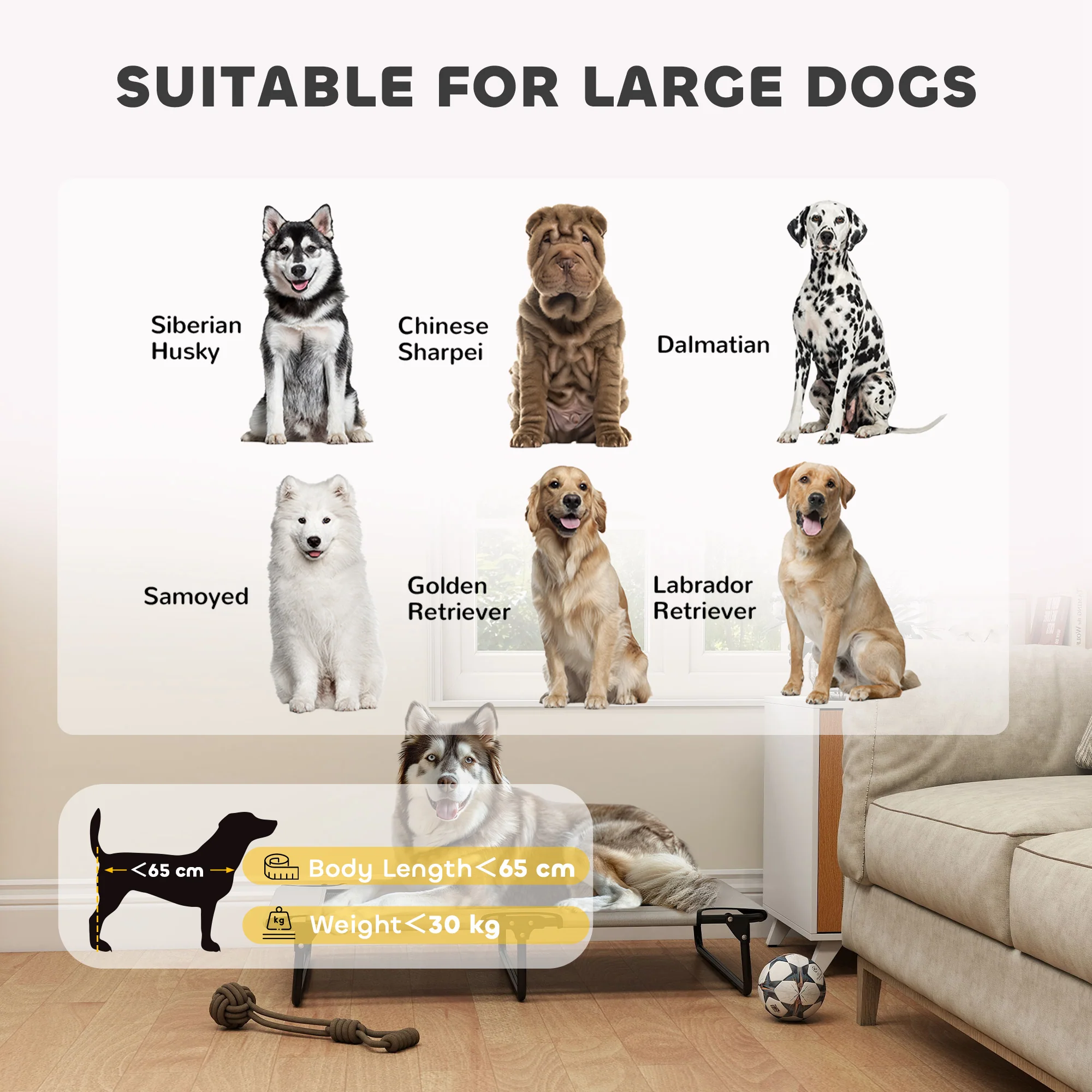 PawHut Raised Dog Bed With Breathable Mesh For Dogs - Image 17