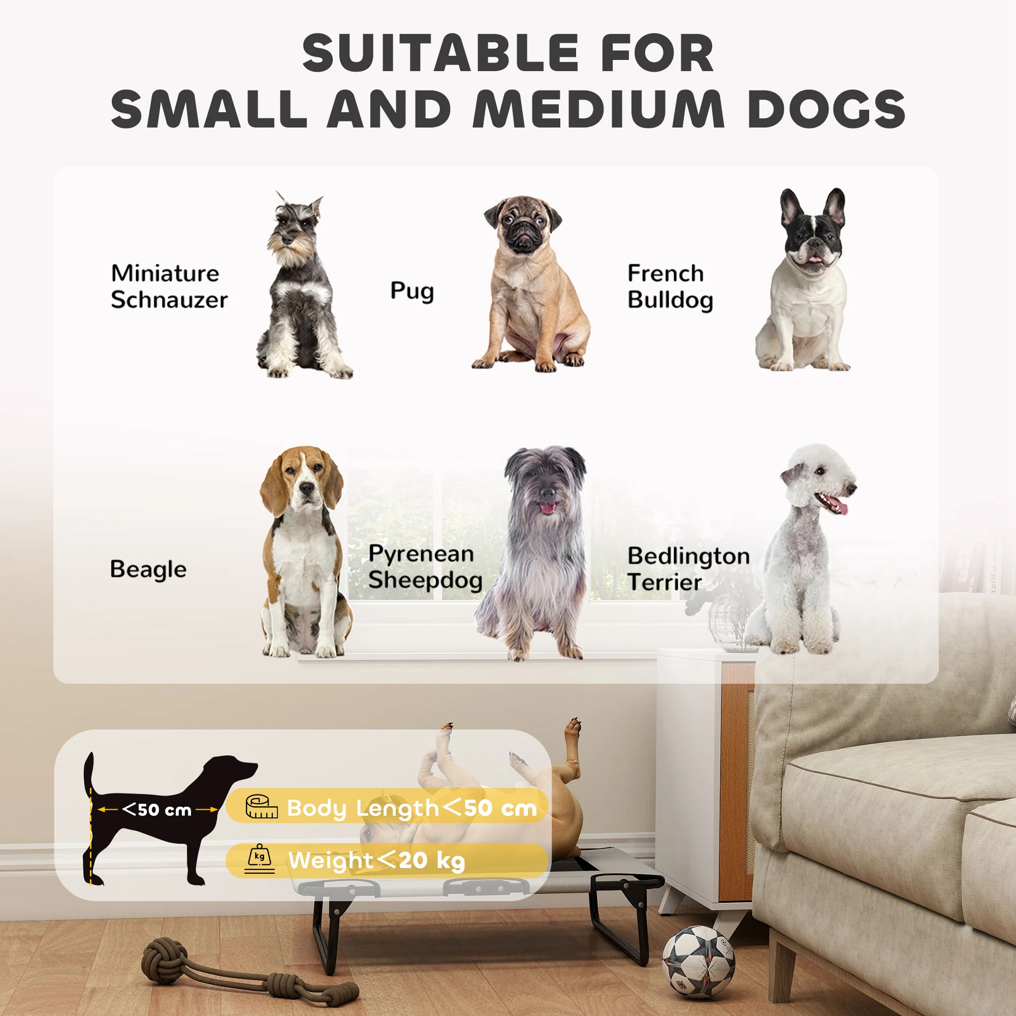 PawHut Raised Dog Bed With Breathable Mesh For Dogs - Image 8