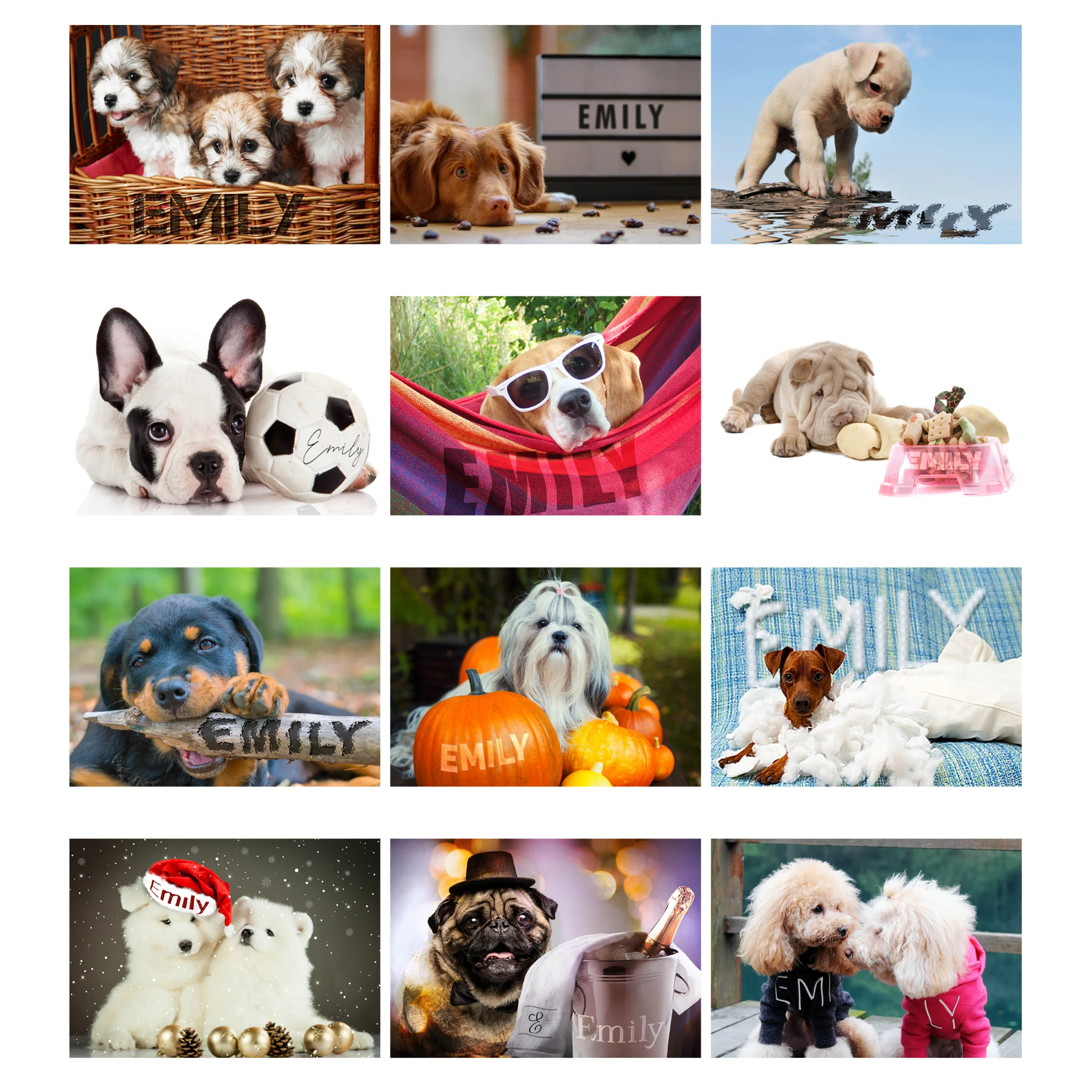 Personalised A4 Barking Mad Calendar - Image 9