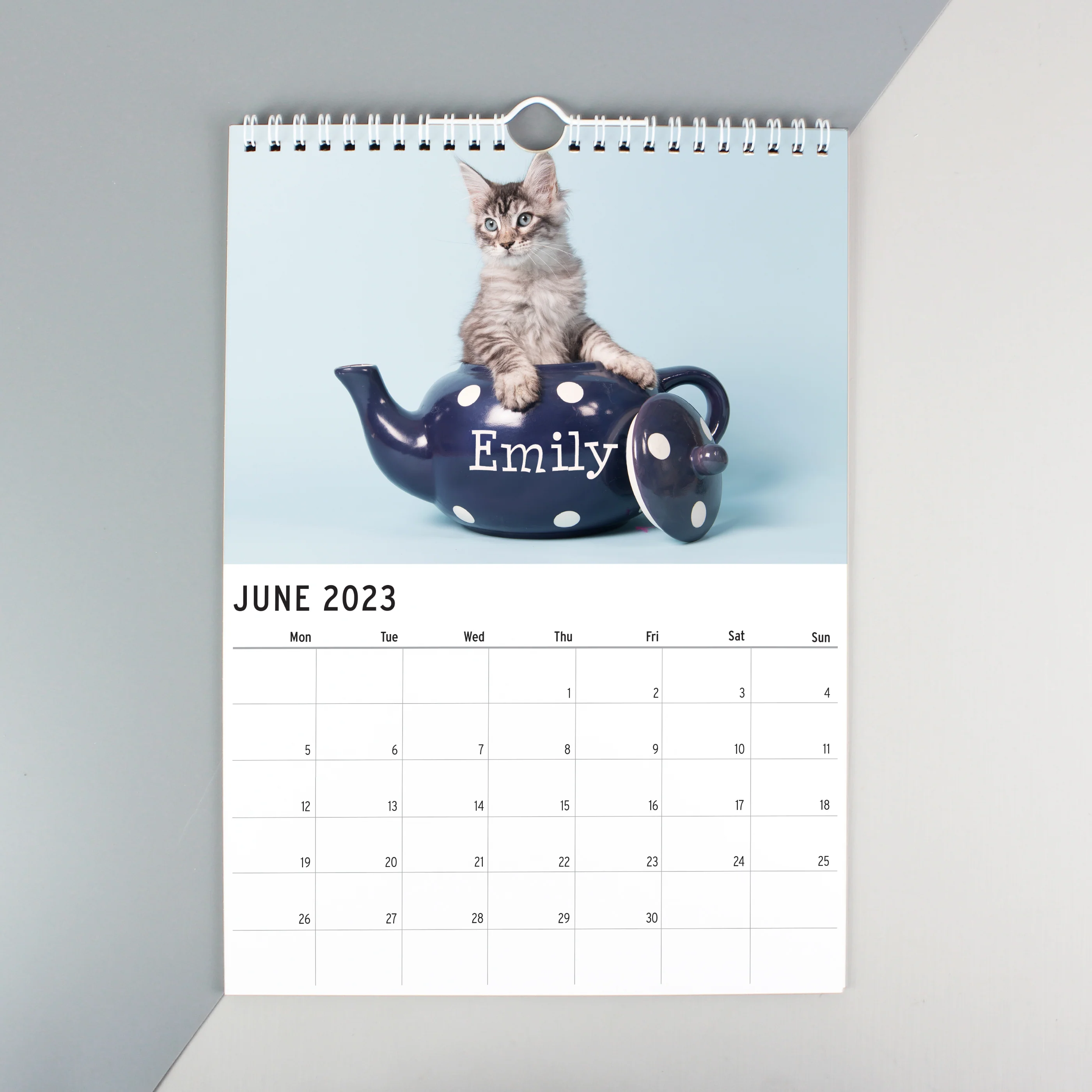 Personalised A4 Cats & Kittens Calendar - Image 2