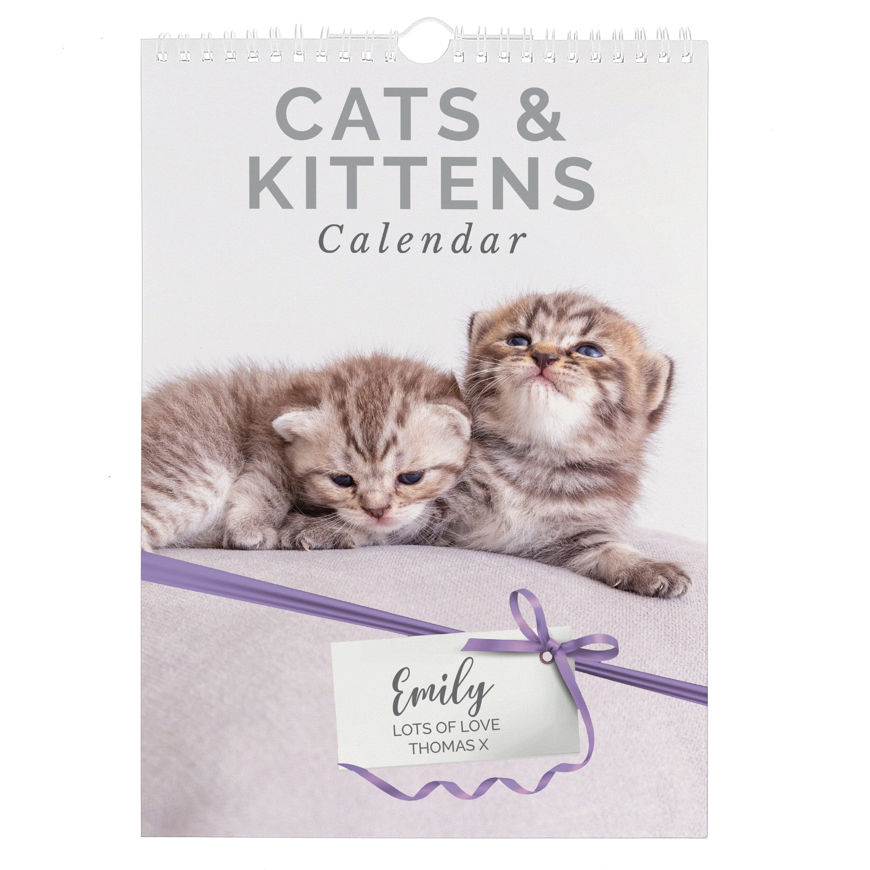 Personalised A4 Cats & Kittens Calendar - Image 5