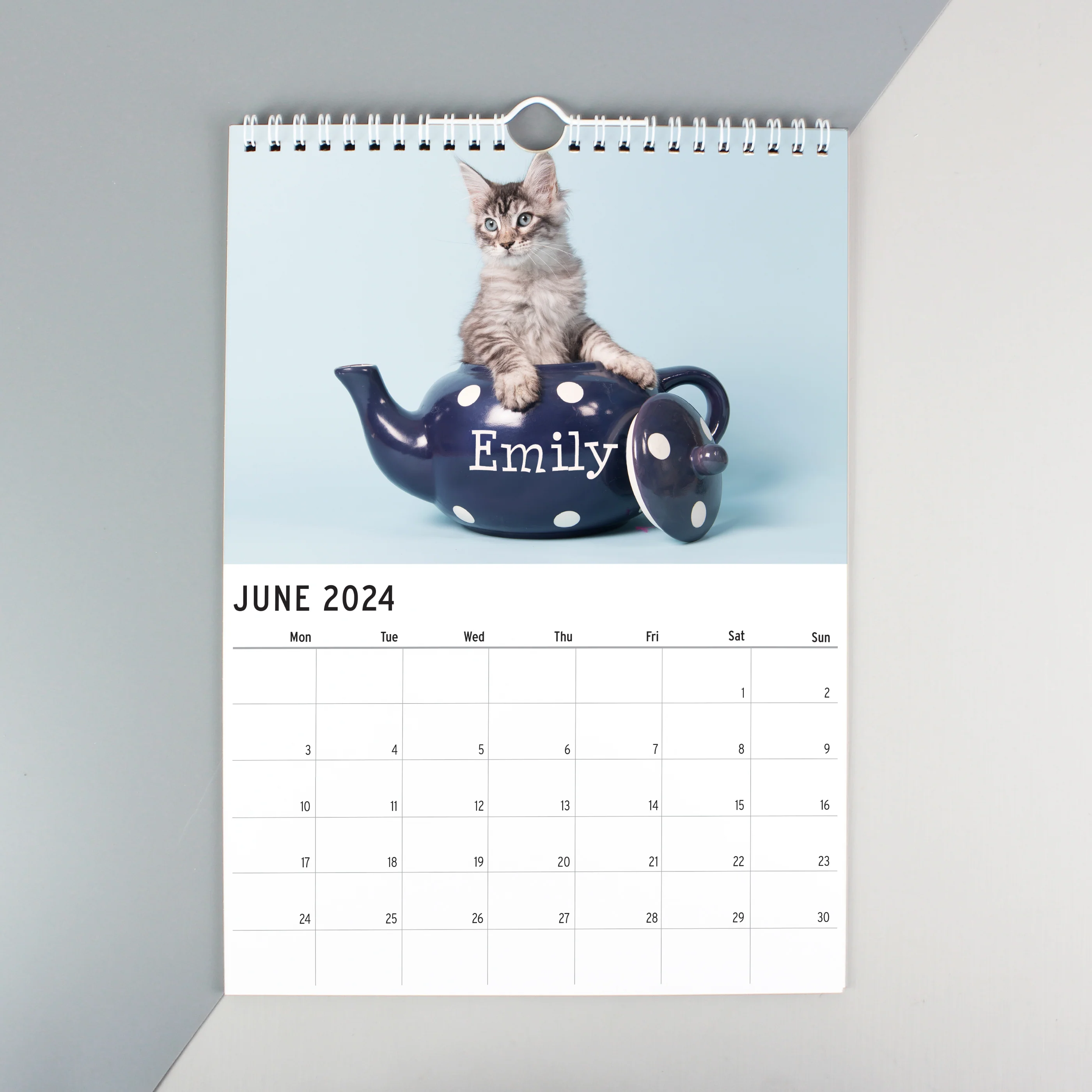 Personalised A4 Cats & Kittens Calendar - Image 8