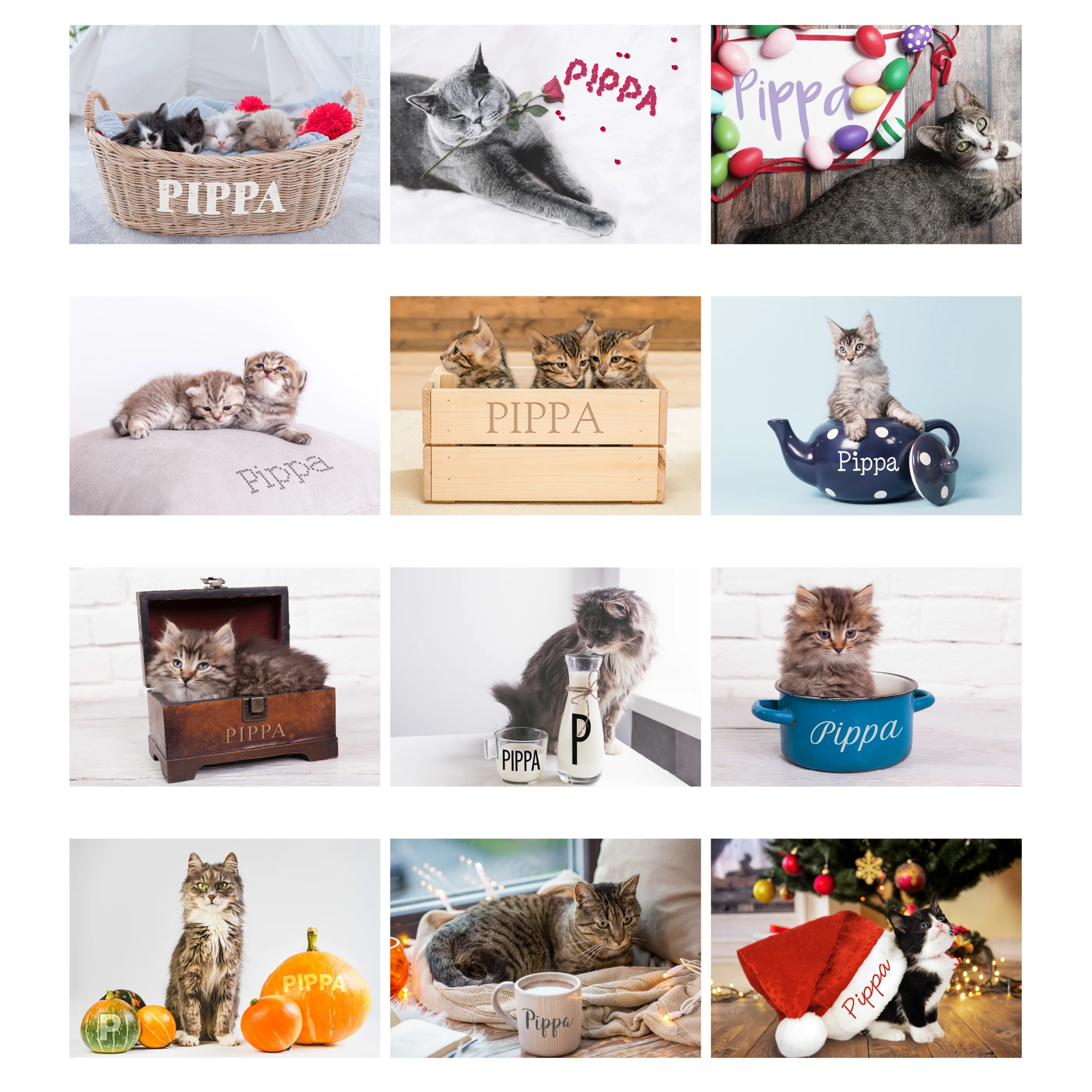 Personalised A4 Cats & Kittens Calendar - Image 9