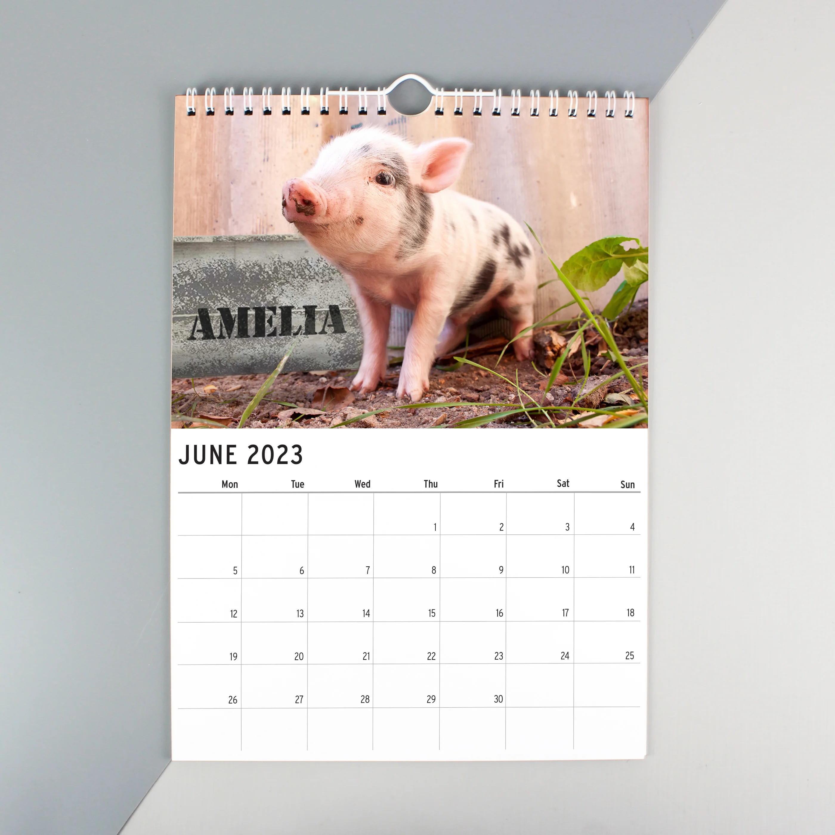 Personalised A4 Cute Animals Calendar - Image 2