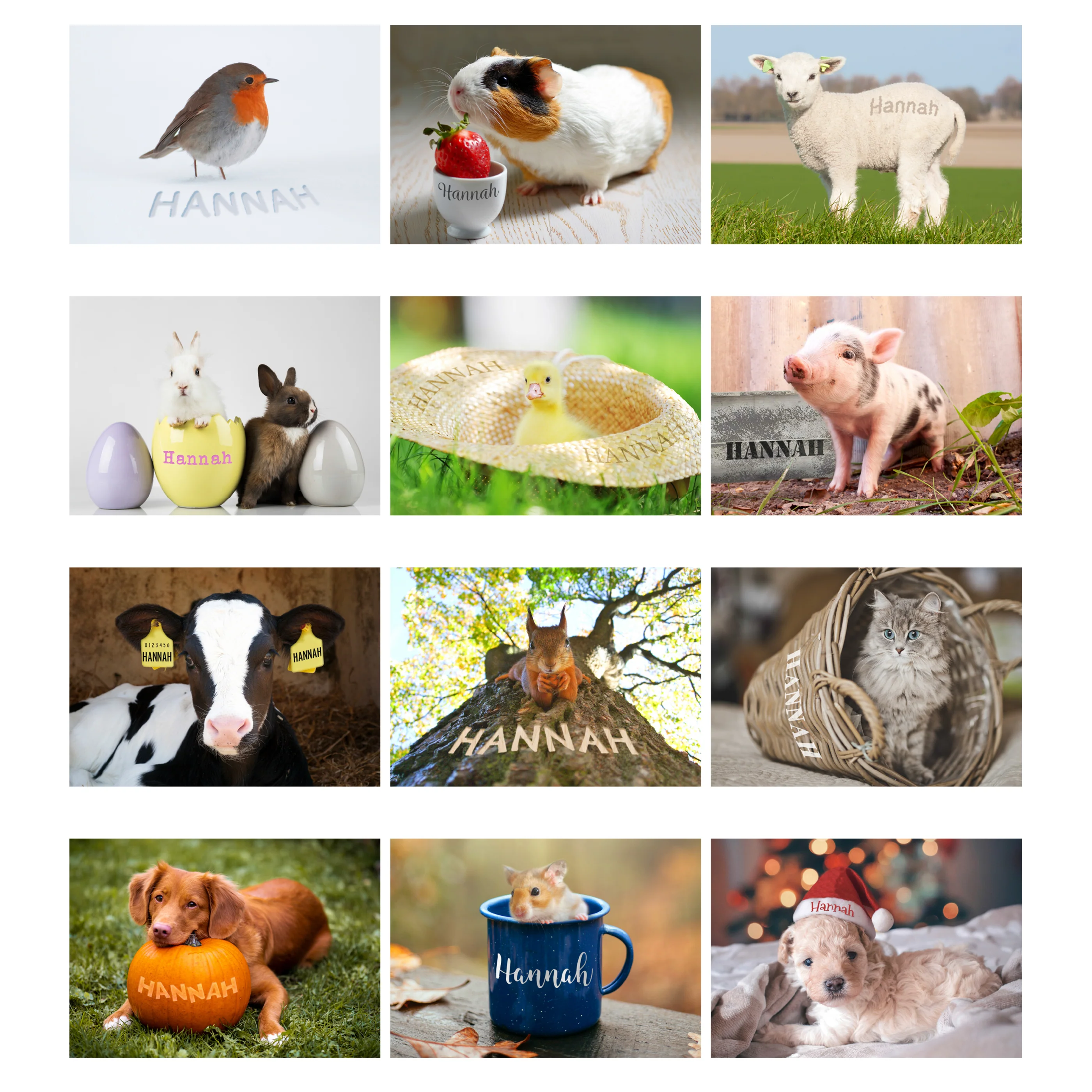 Personalised A4 Cute Animals Calendar - Image 9