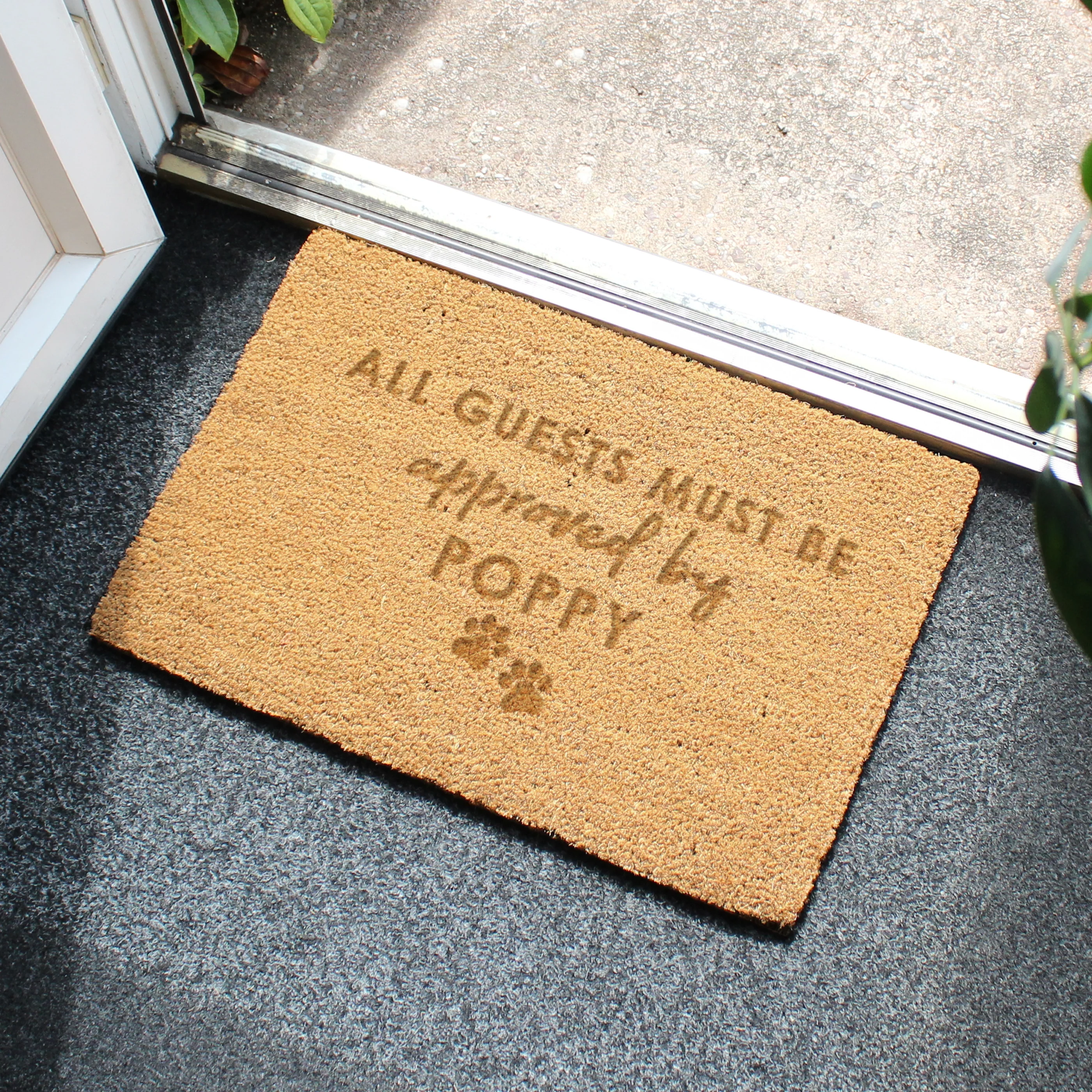 Personalised Approved By The Pet Rectangle Indoor Doormat - Image 3