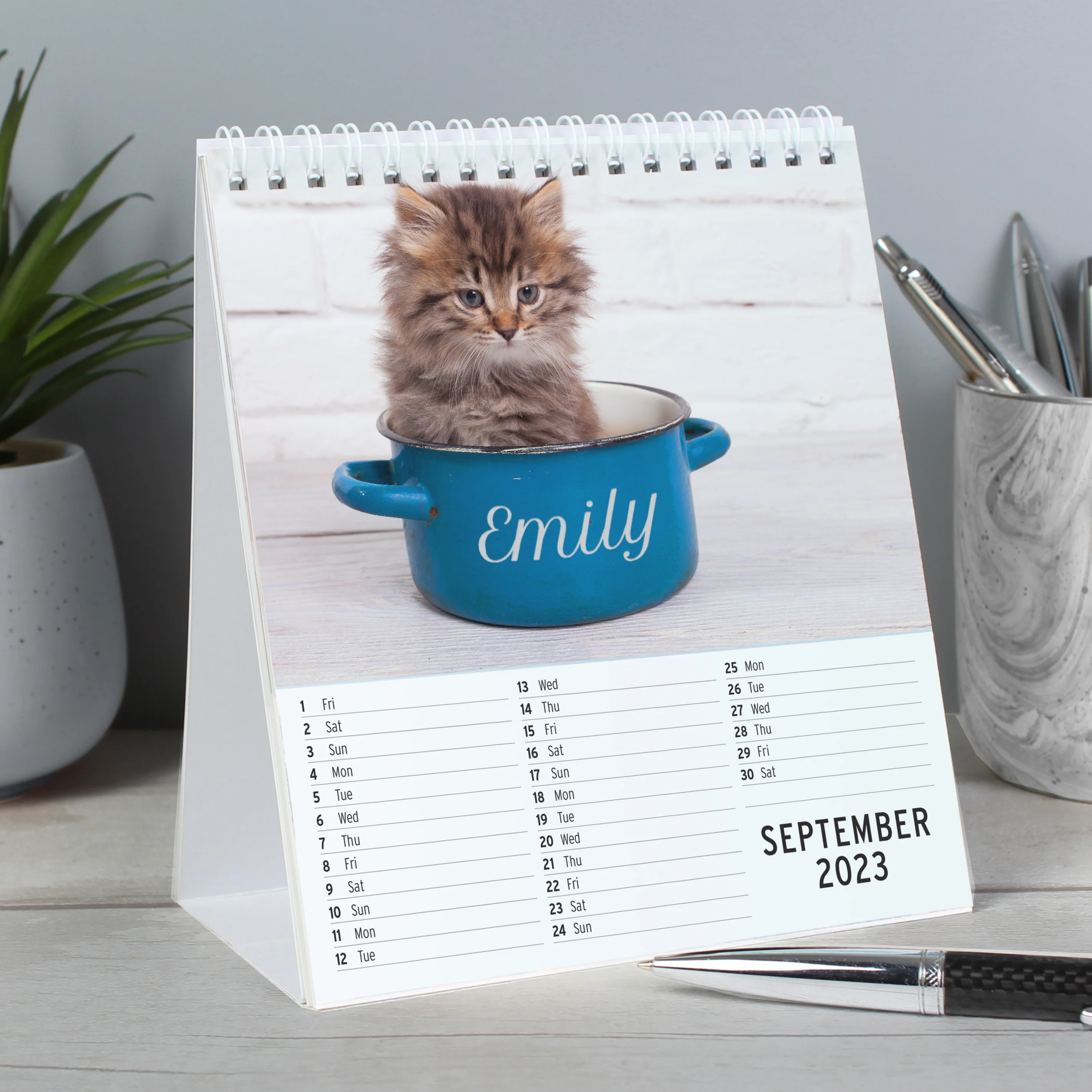 Personalised Cats and Kittens Desk Calendar - Image 2