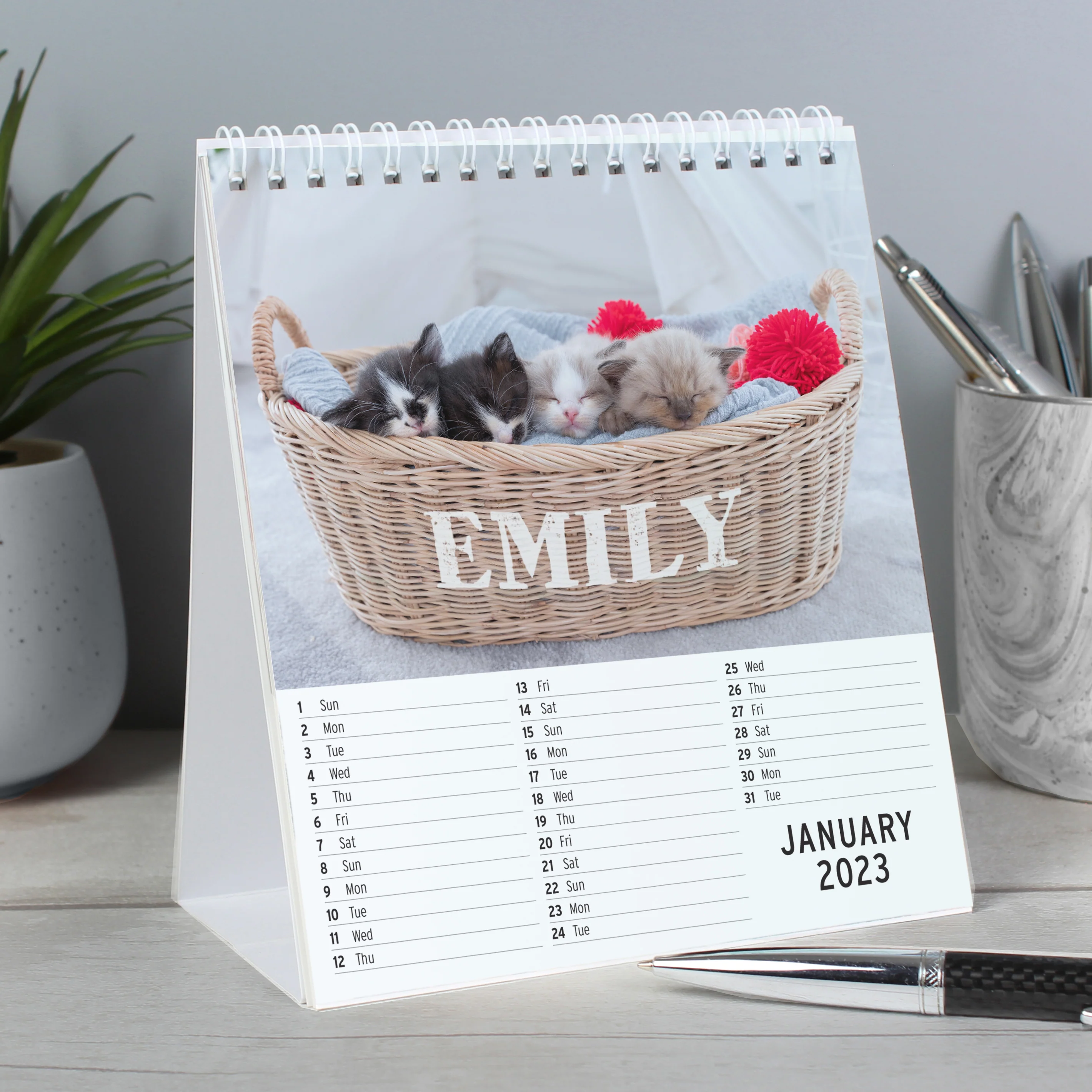 Personalised Cats and Kittens Desk Calendar - Image 3