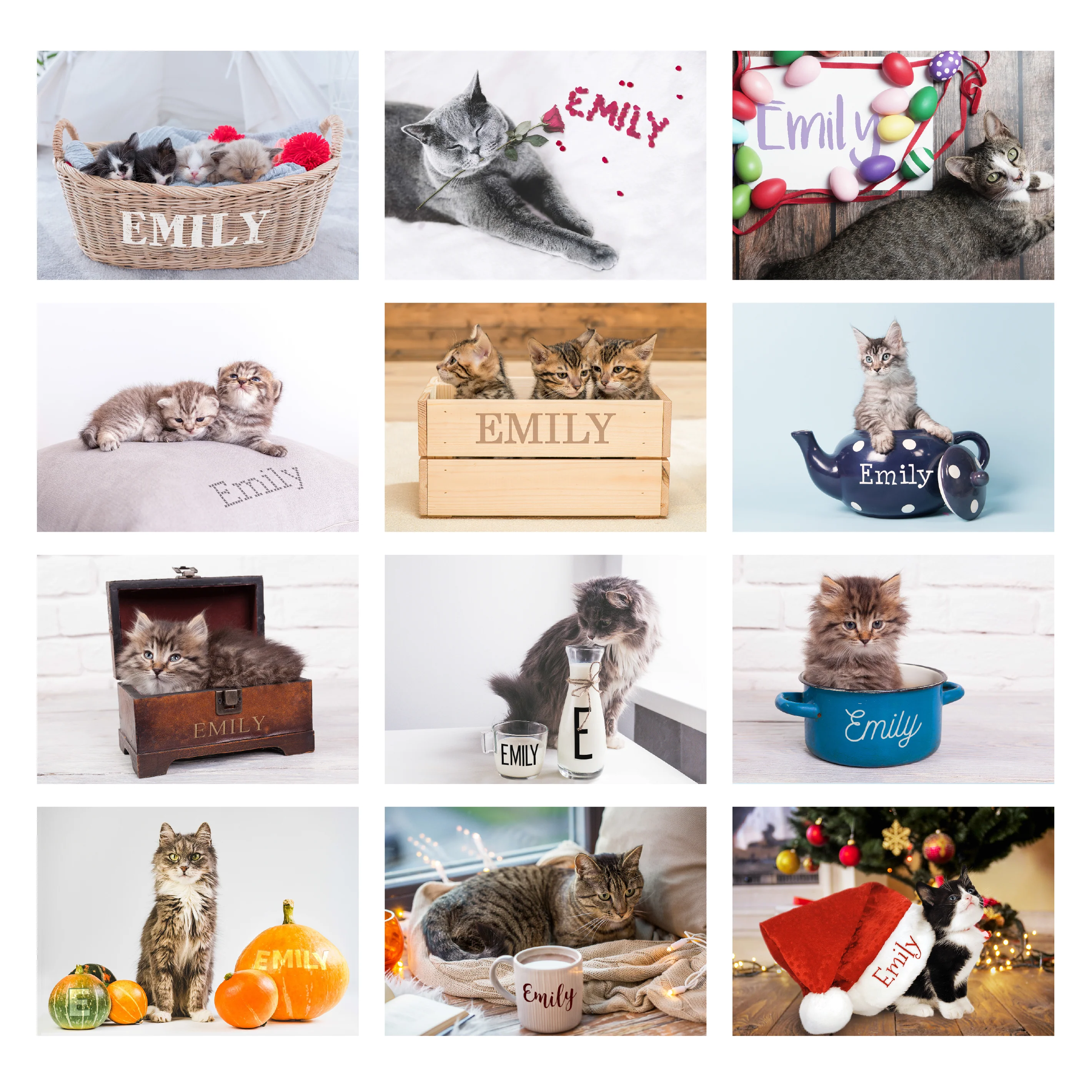 Personalised Cats and Kittens Desk Calendar - Image 6