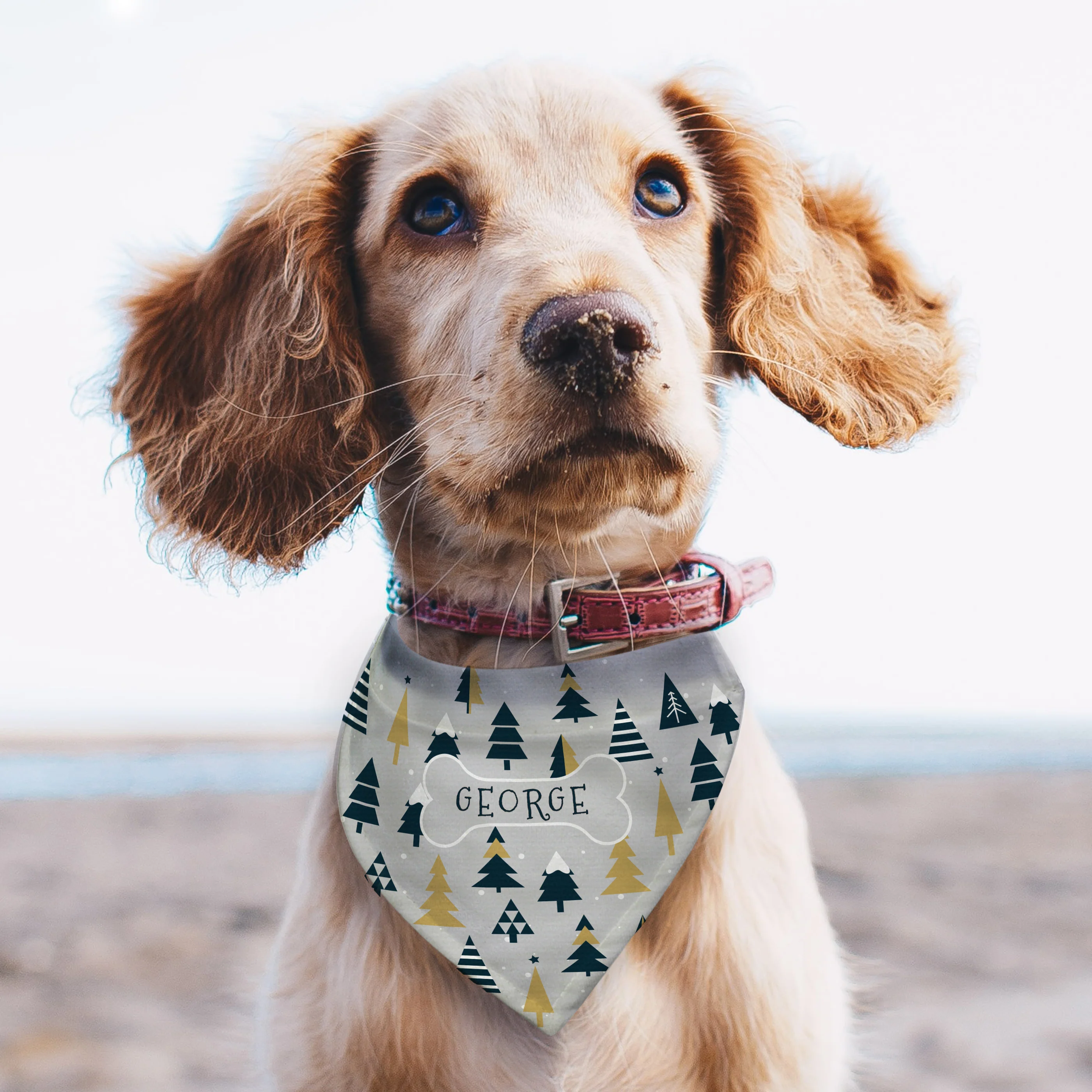 Personalised Christmas Tree Dog Bandana - Image 3