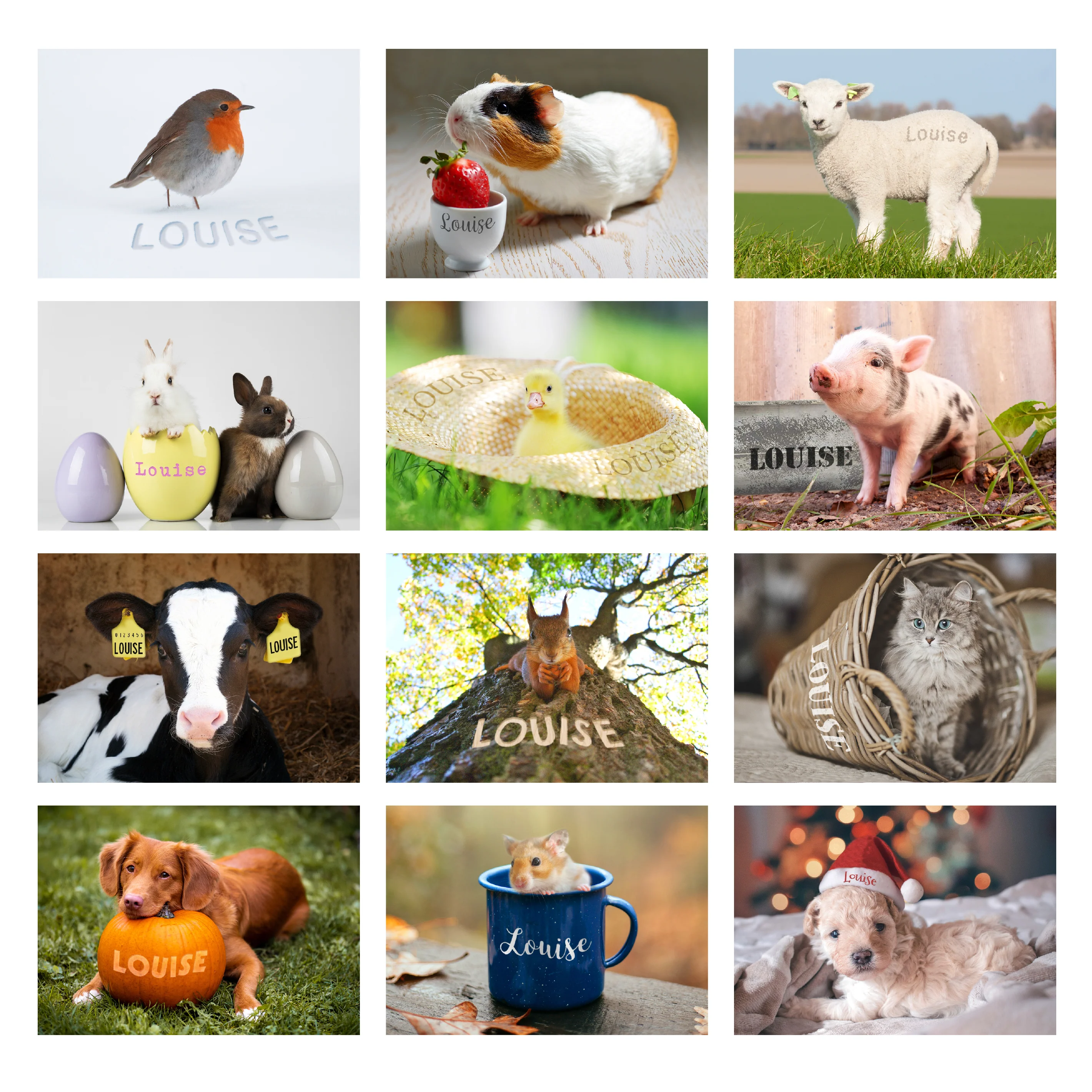 Personalised Cute Animals Desk Calendar - Image 6