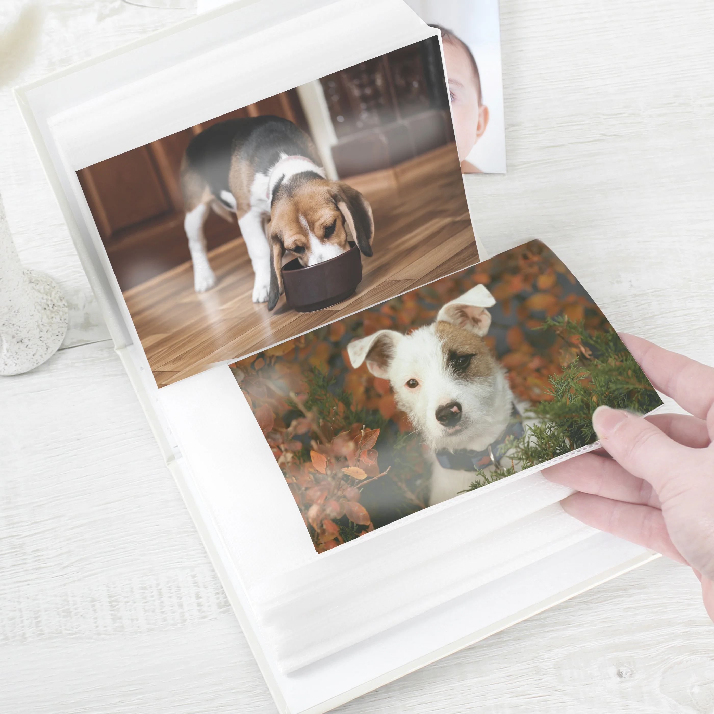 Personalised Dogs 6x4 Photo Album
