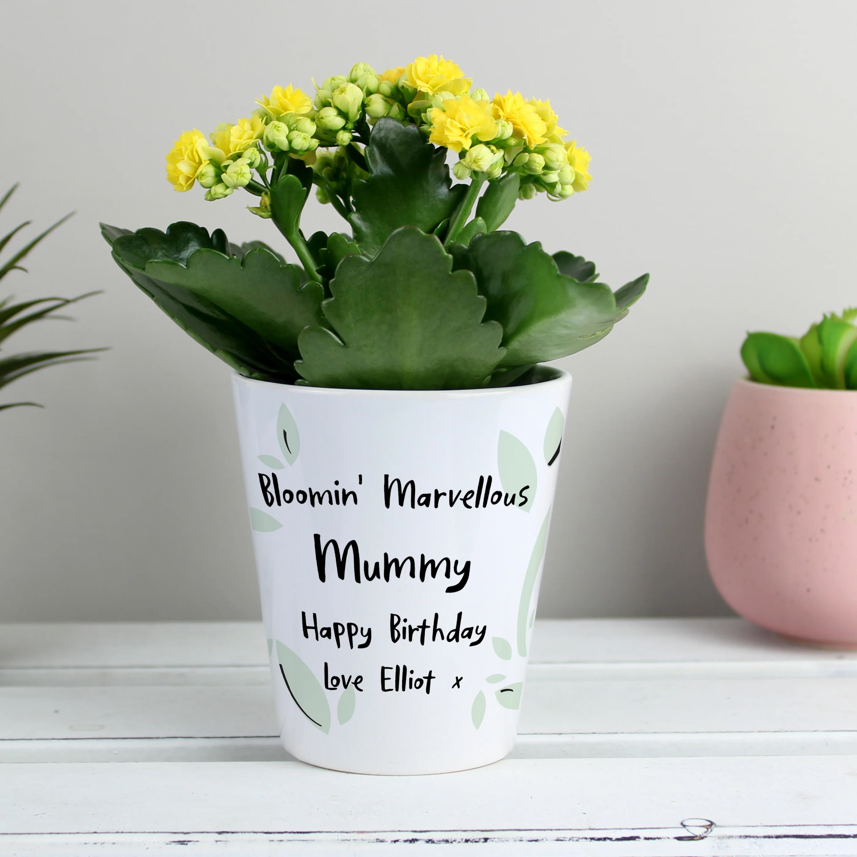 Personalised Free Text Botanical Plant Pot - Image 3