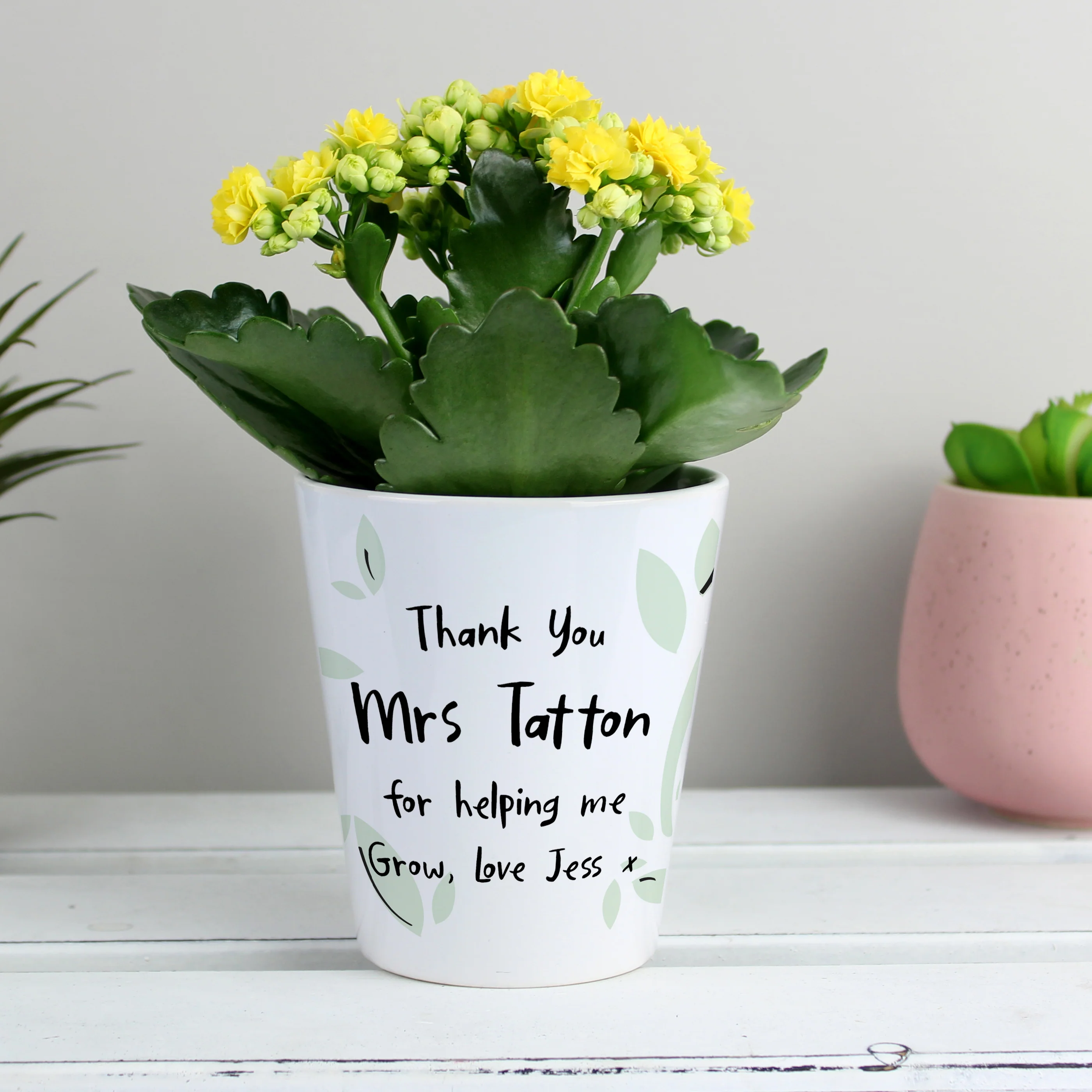 Personalised Free Text Botanical Plant Pot - Image 4