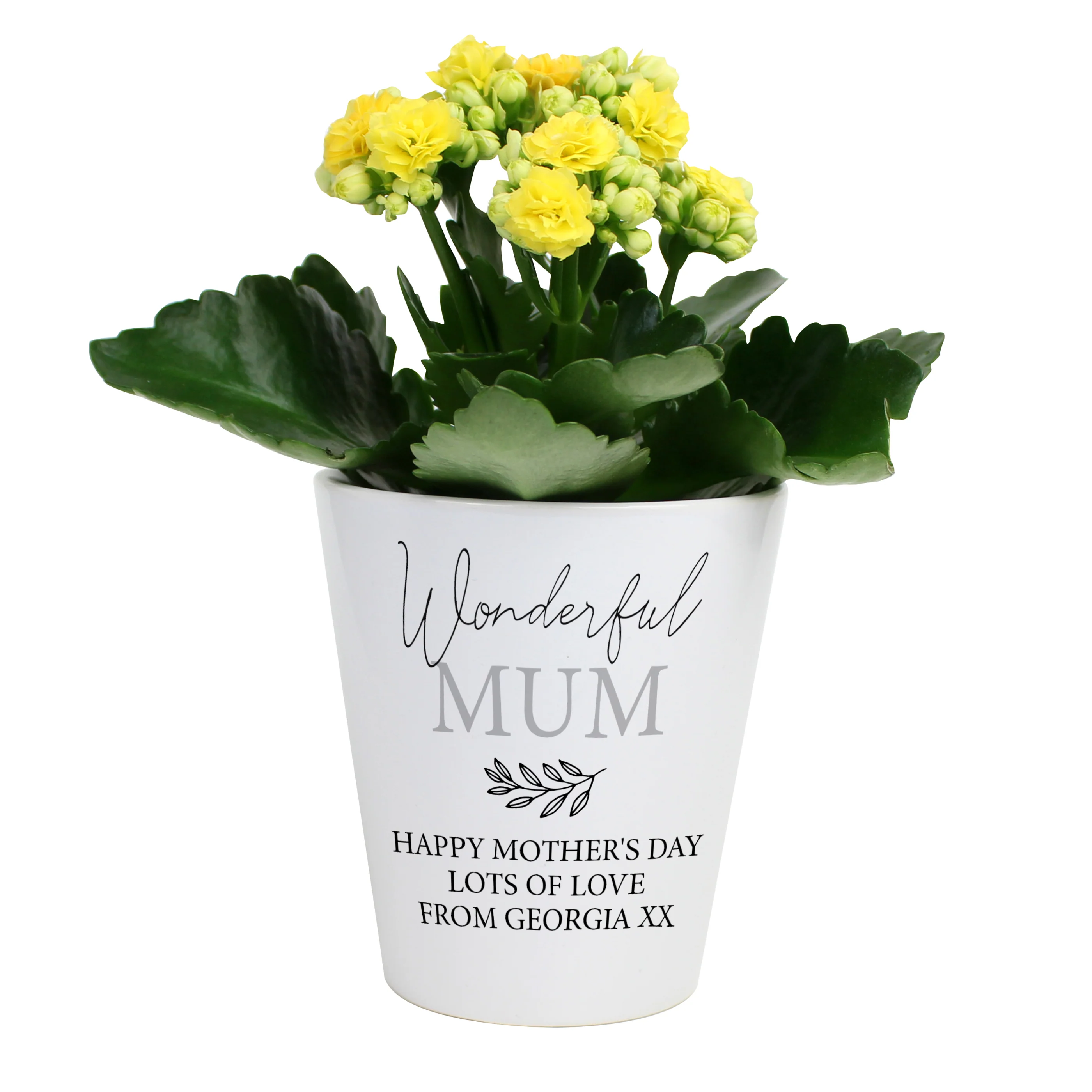 Personalised Free Text Plant Pot - Image 2