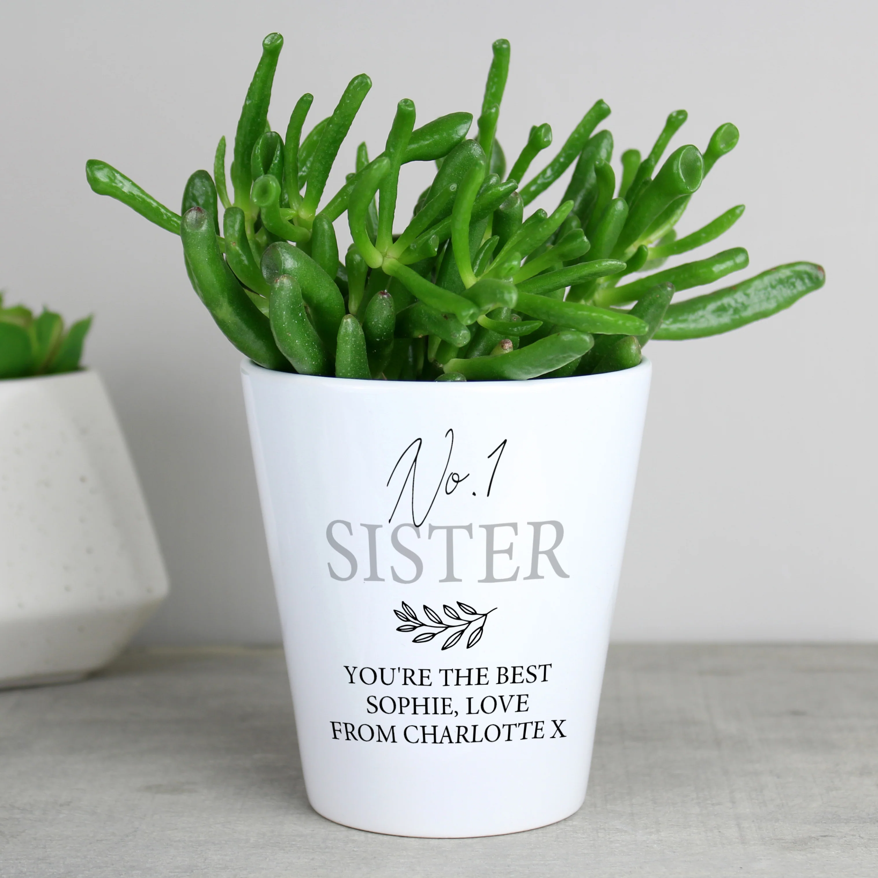 Personalised Free Text Plant Pot - Image 3