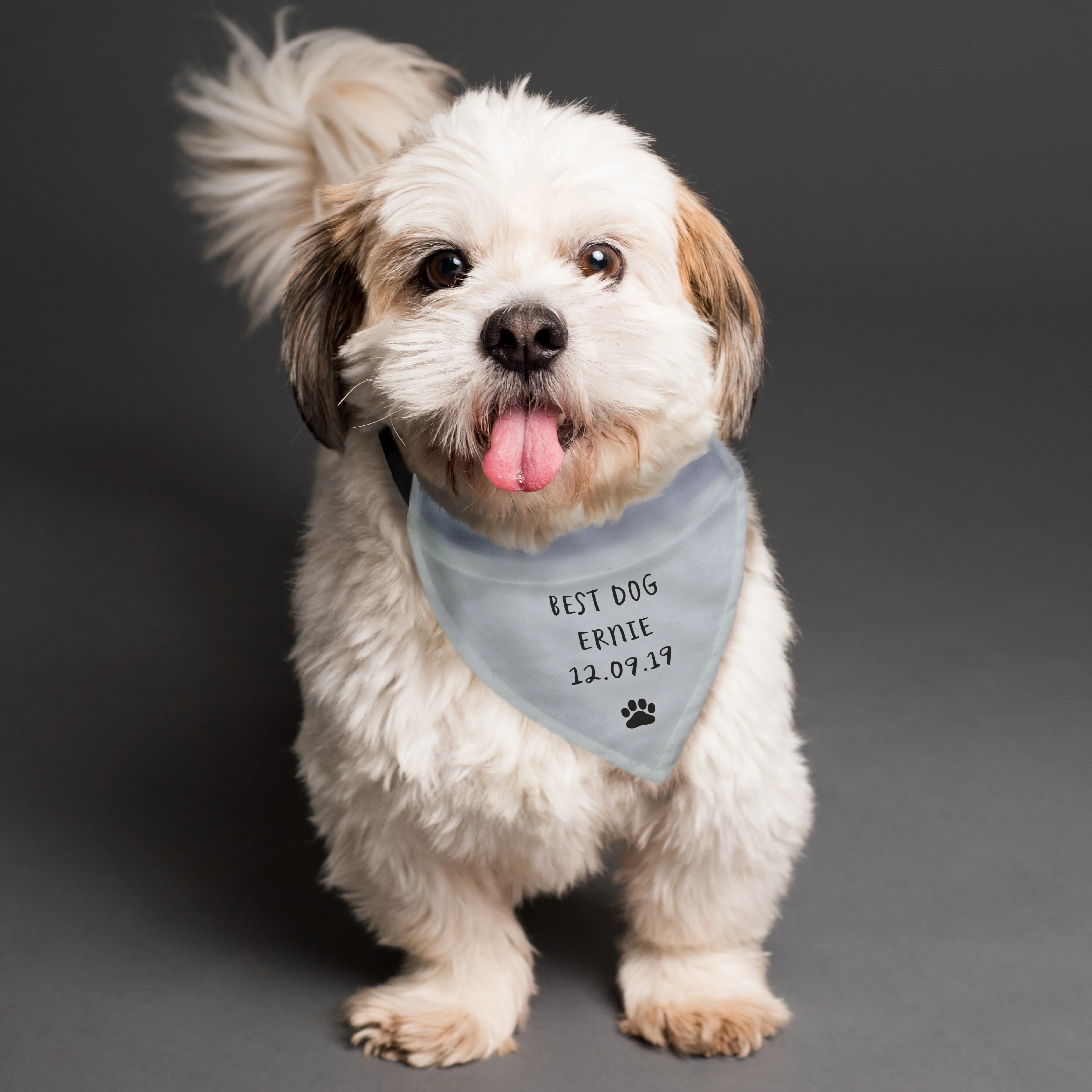 Personalised Grey Dog Bandana - Image 4