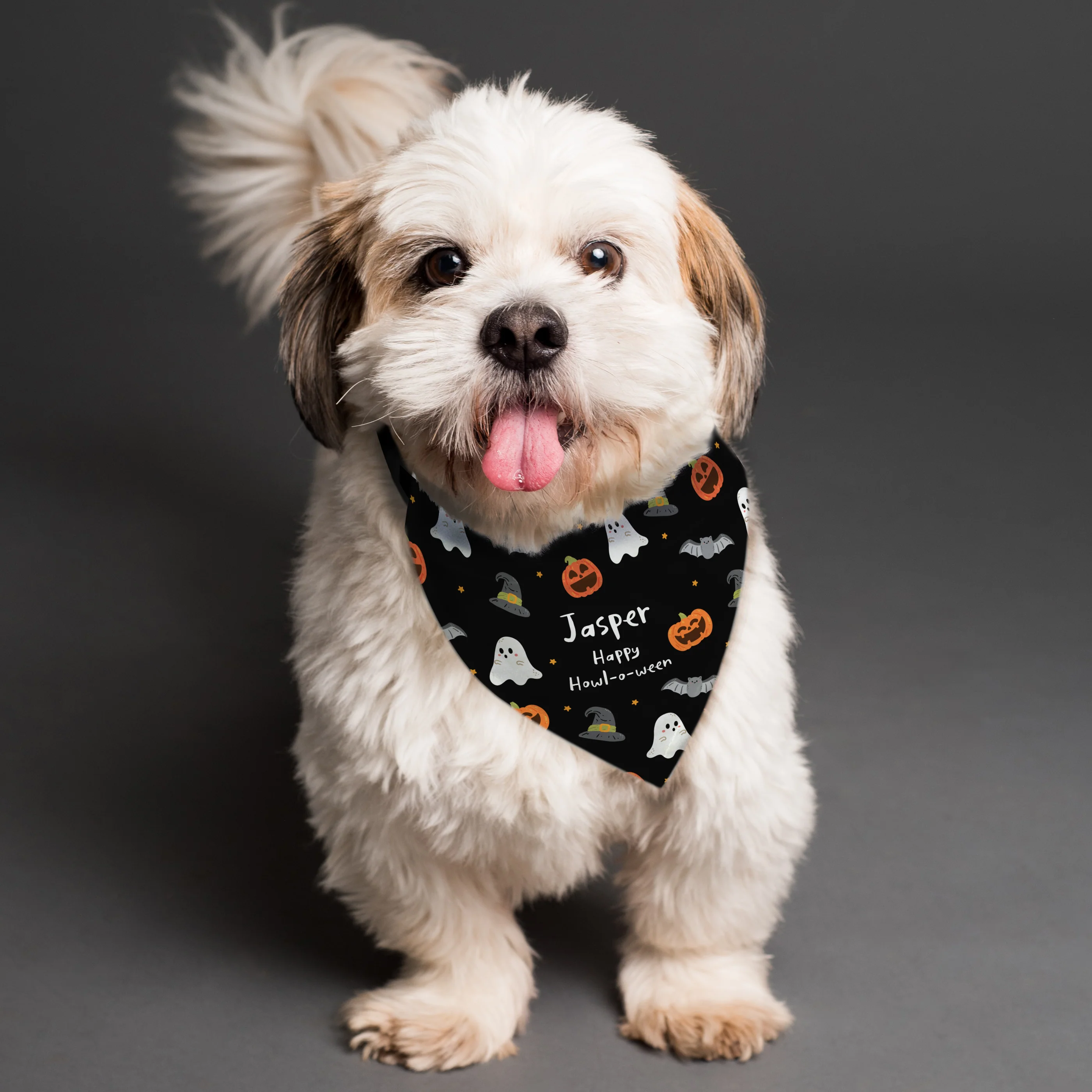 Personalised Halloween Dog Bandana - Image 3