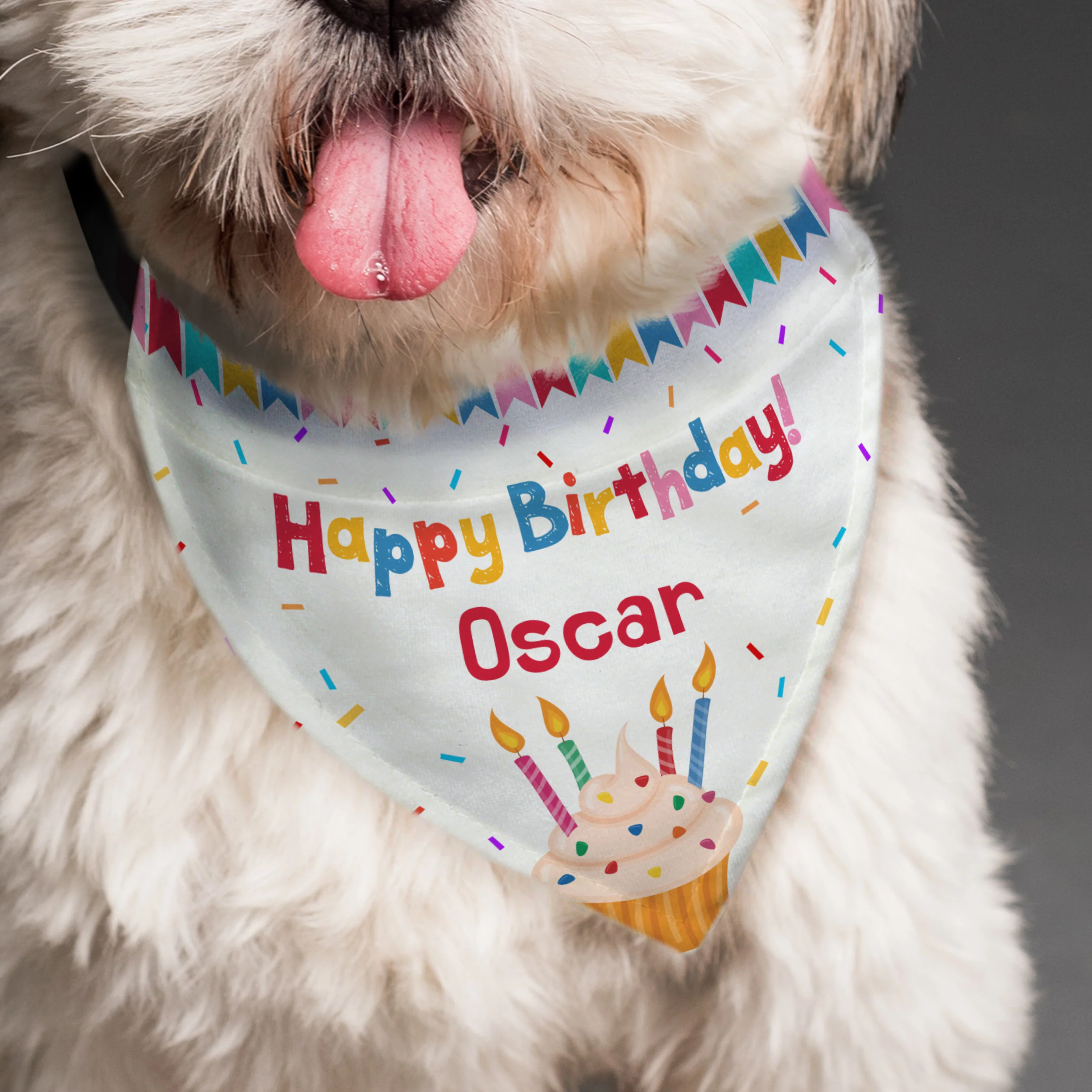 Personalised Happy Birthday Dog Bandana - Image 3