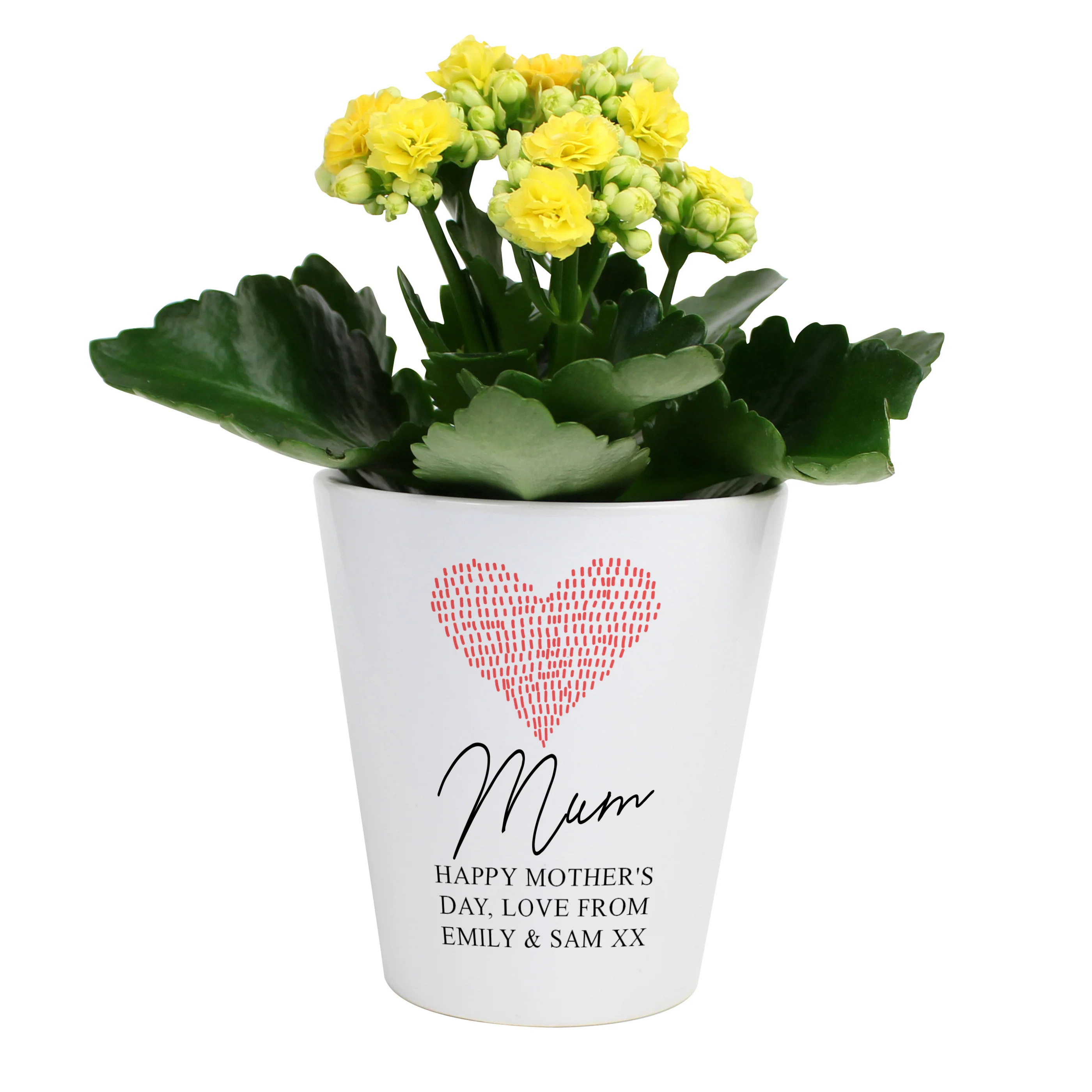 Personalised Heart Plant Pot - Image 2