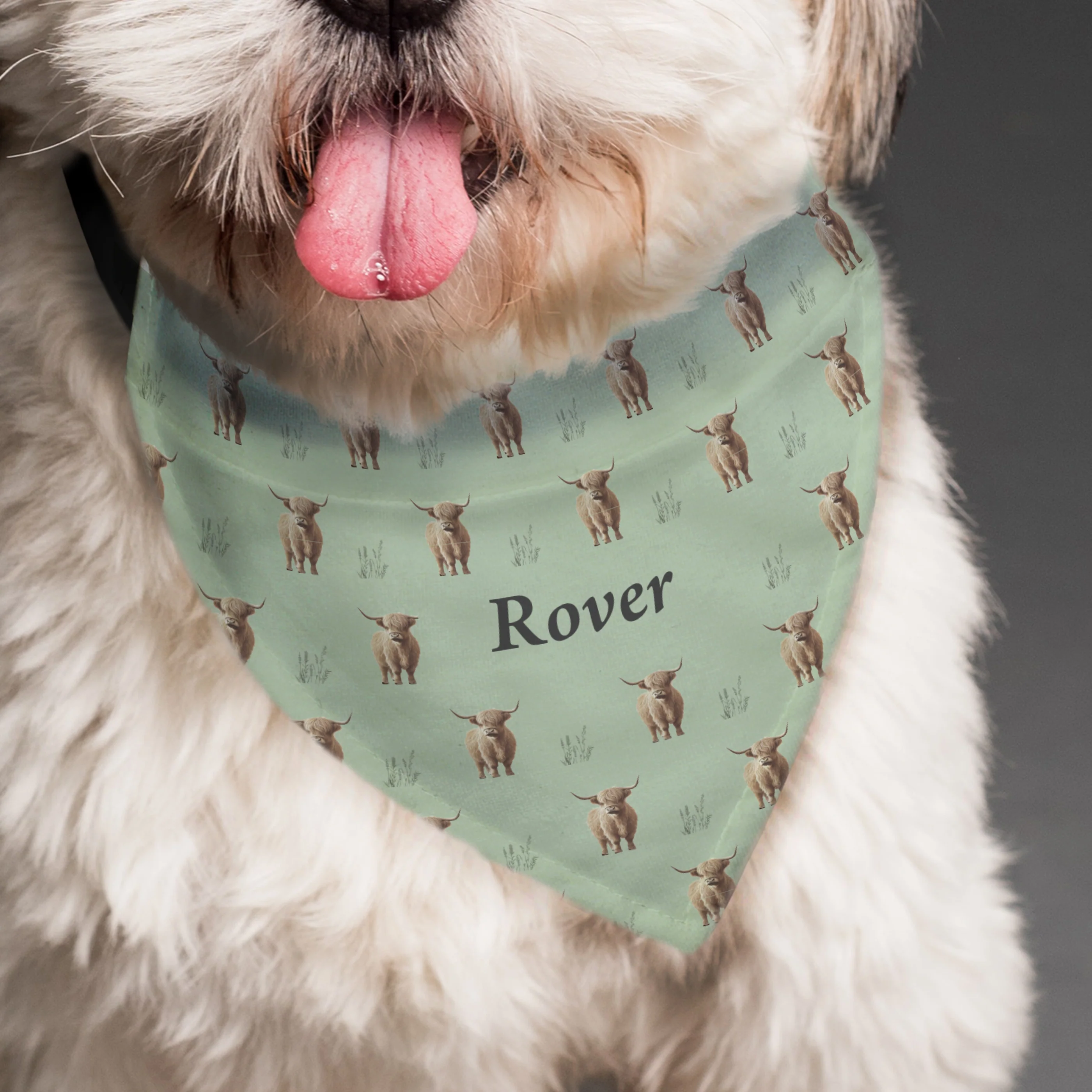 Personalised Highland Cow Dog Bandana - Image 4