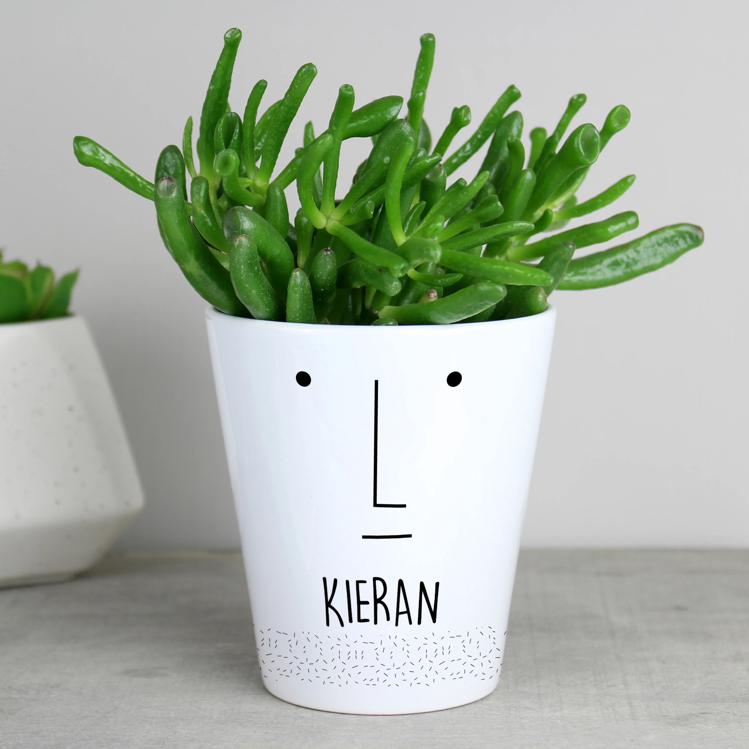 Personalised 'Mr Face' Plant Pot - Image 4