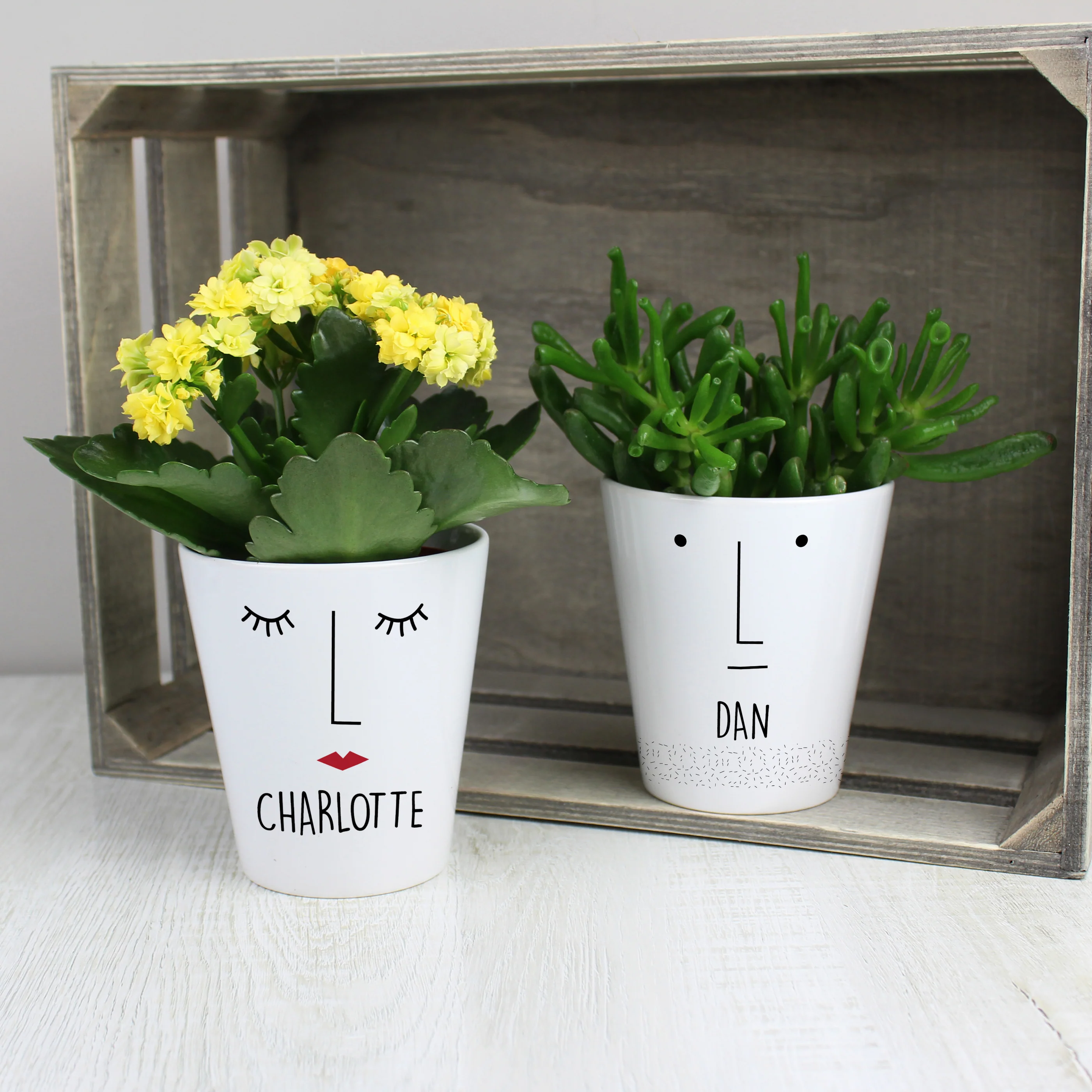 Personalised 'Mr Face' Plant Pot - Image 5