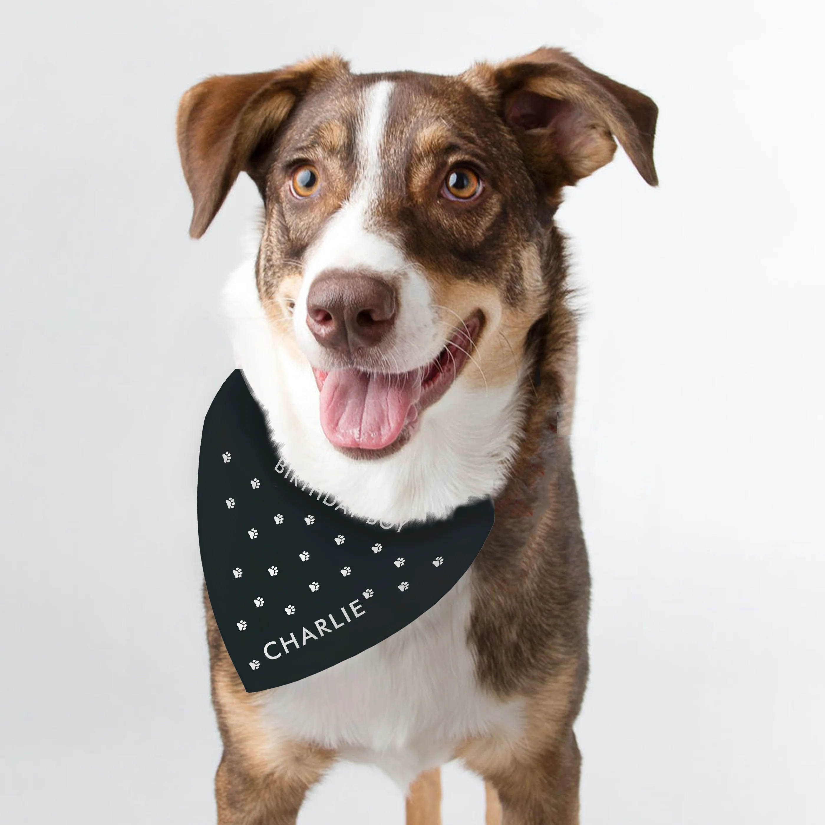 Personalised Paw Print Dog Bandana - Image 4