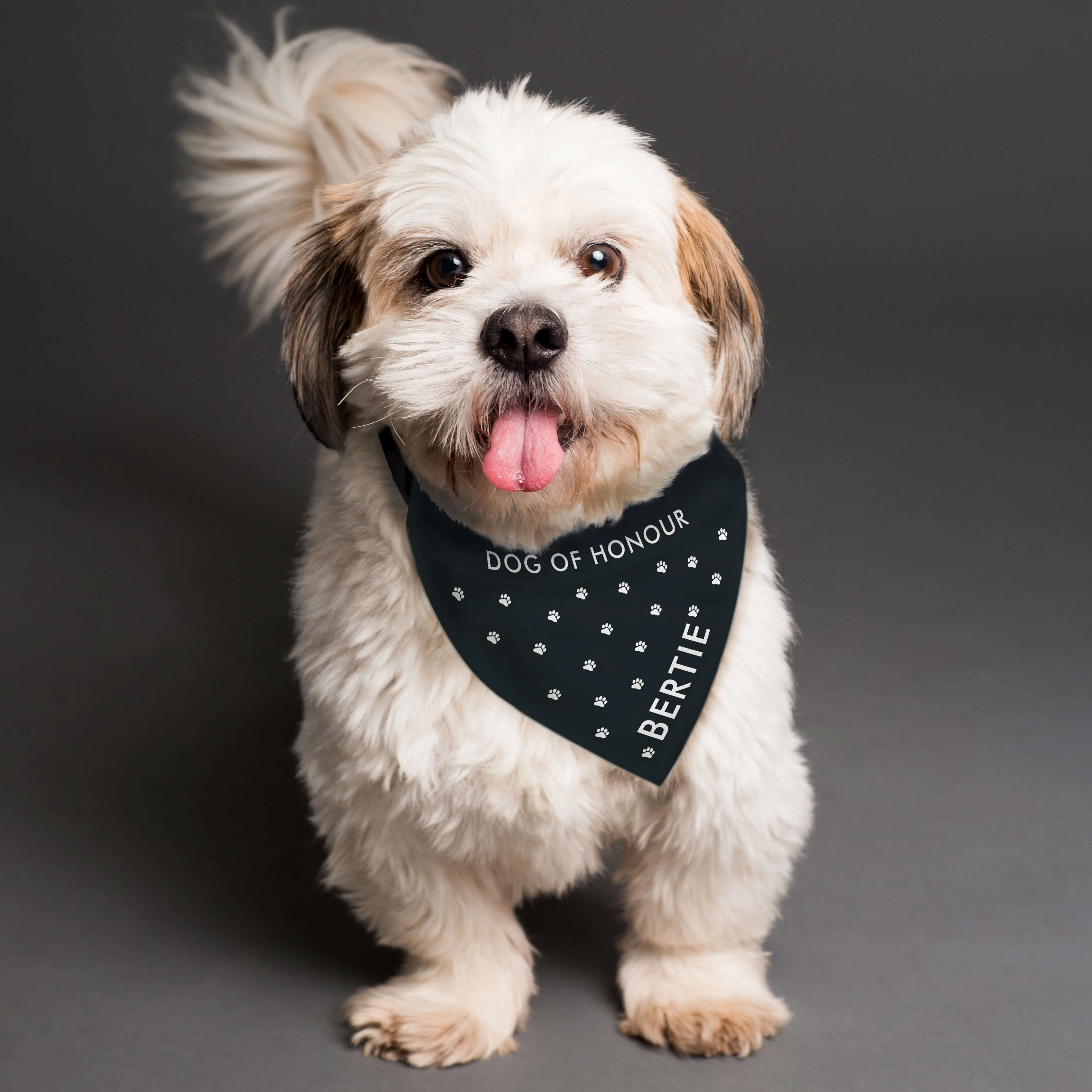 Personalised Paw Print Dog Bandana - Image 5