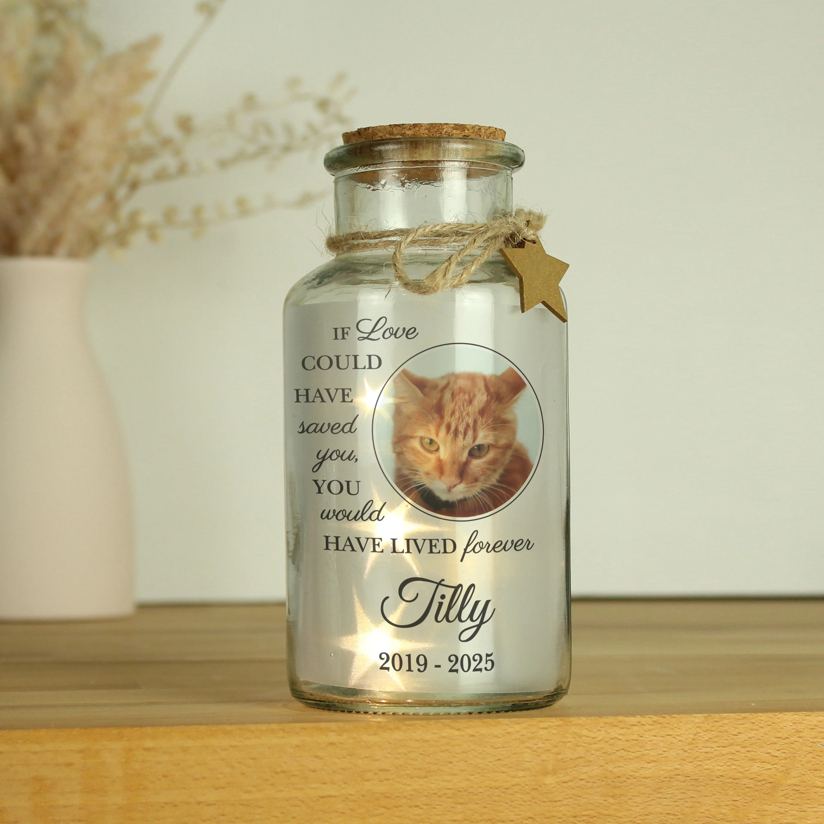 Personalised Pet Memorial Photo Upload LED Light Up Jar - Image 2