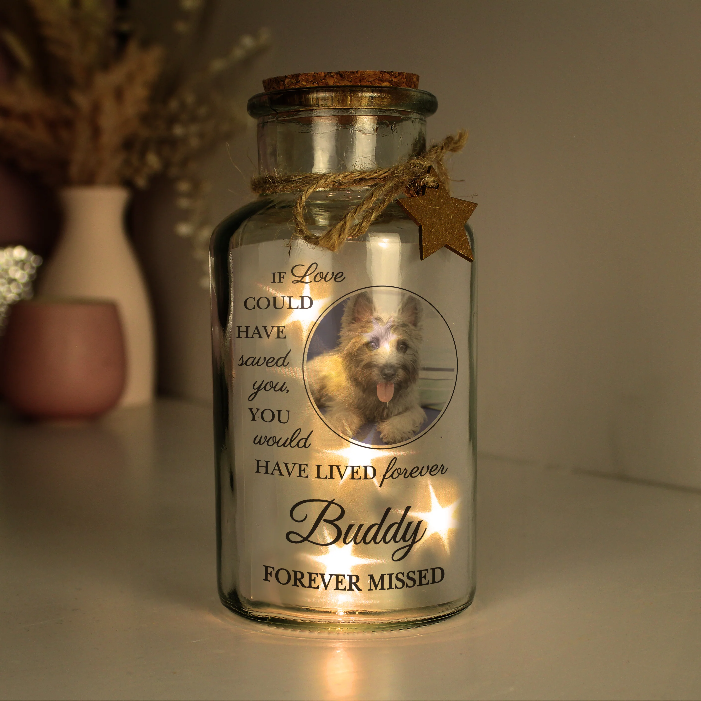Personalised Pet Memorial Photo Upload LED Light Up Jar - Image 3