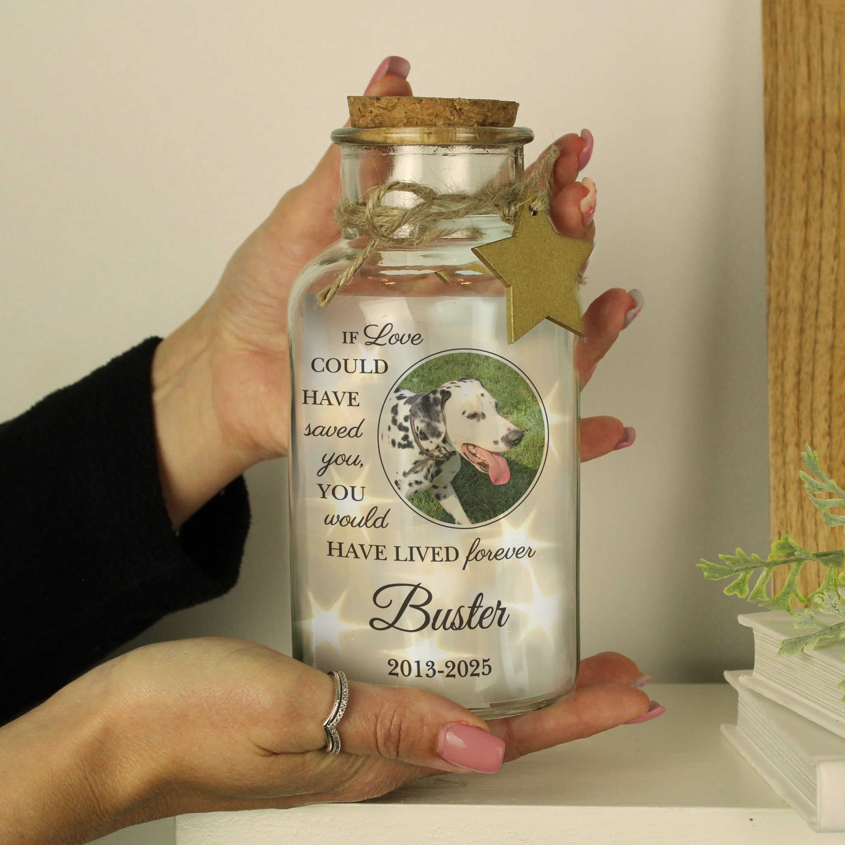 Personalised Pet Memorial Photo Upload LED Light Up Jar - Image 4