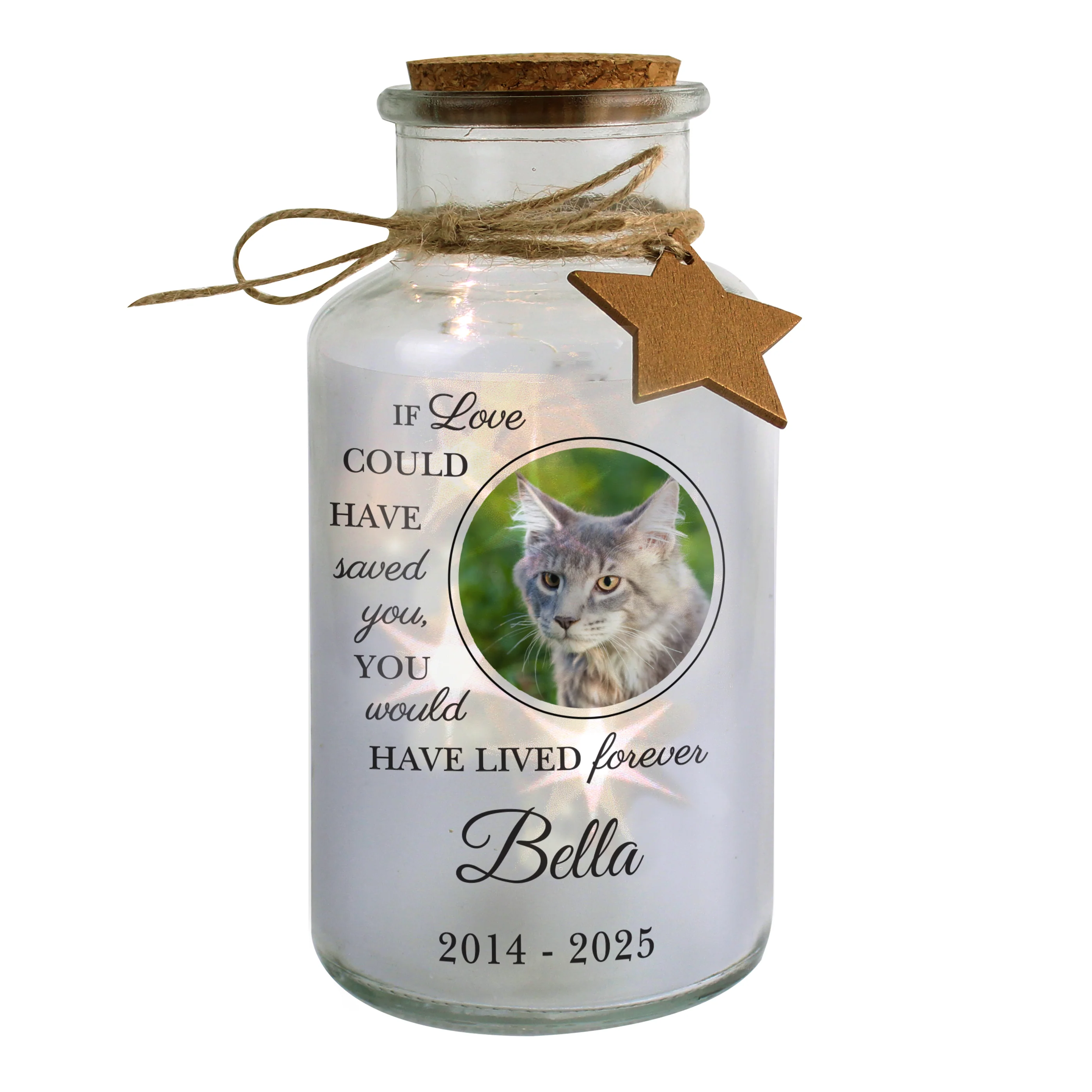 Personalised Pet Memorial Photo Upload LED Light Up Jar - Image 5