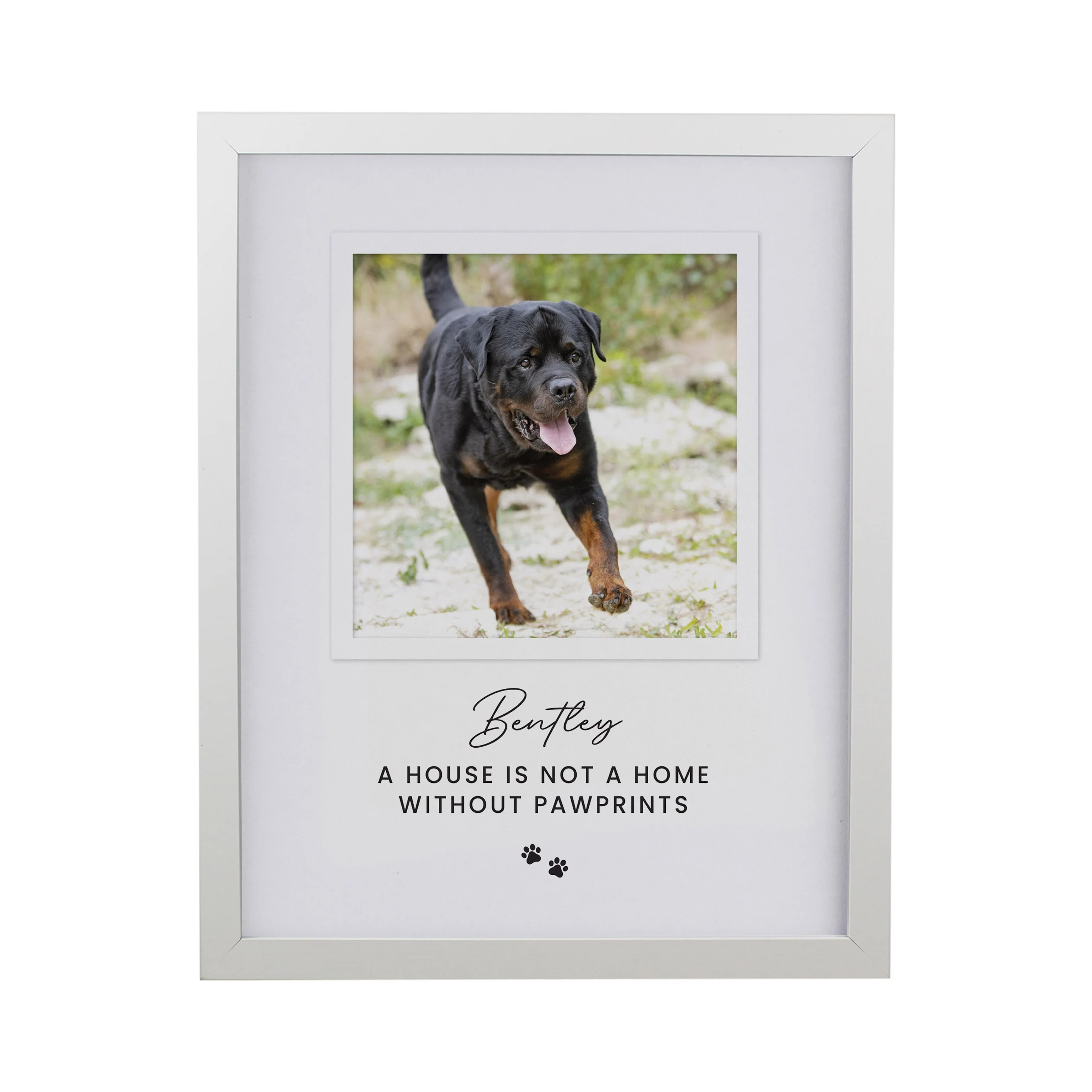 Personalised Pet Photo Upload White Framed Print - Image 4