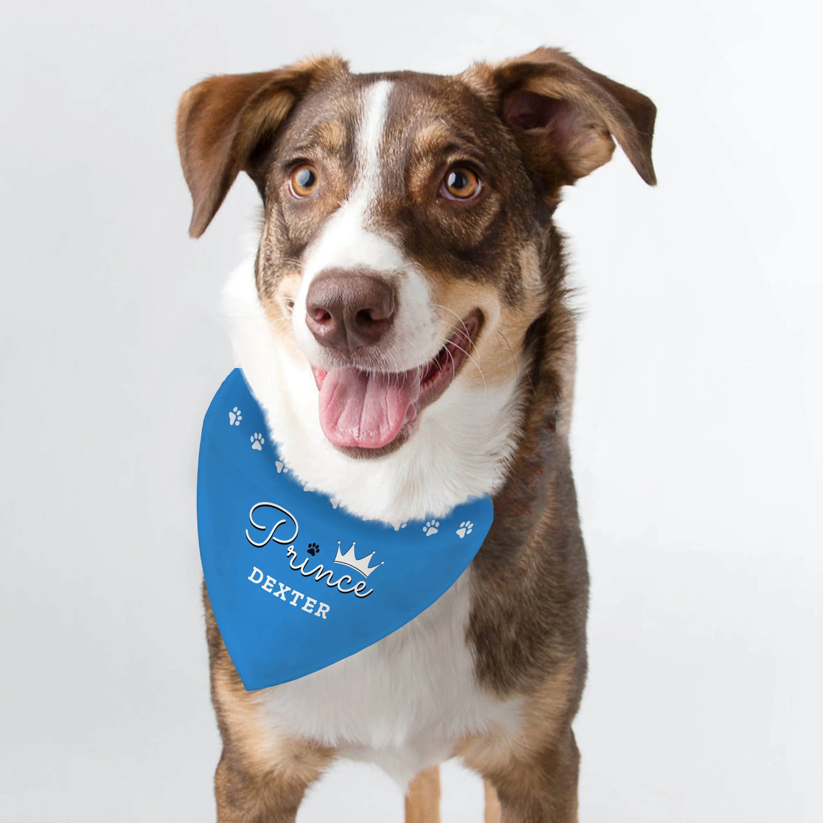 Personalised Prince Dog Bandana - Image 3