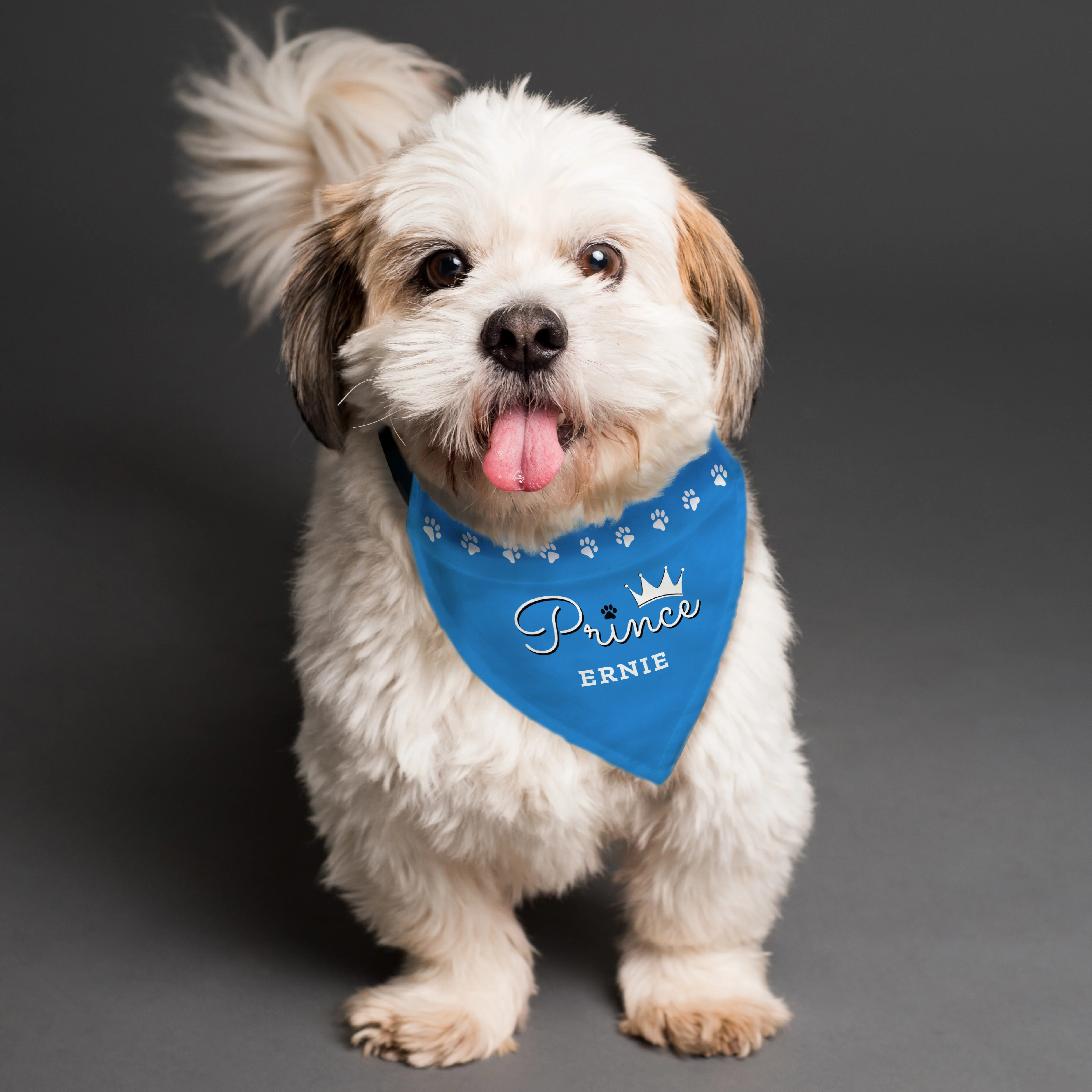 Personalised Prince Dog Bandana - Image 4