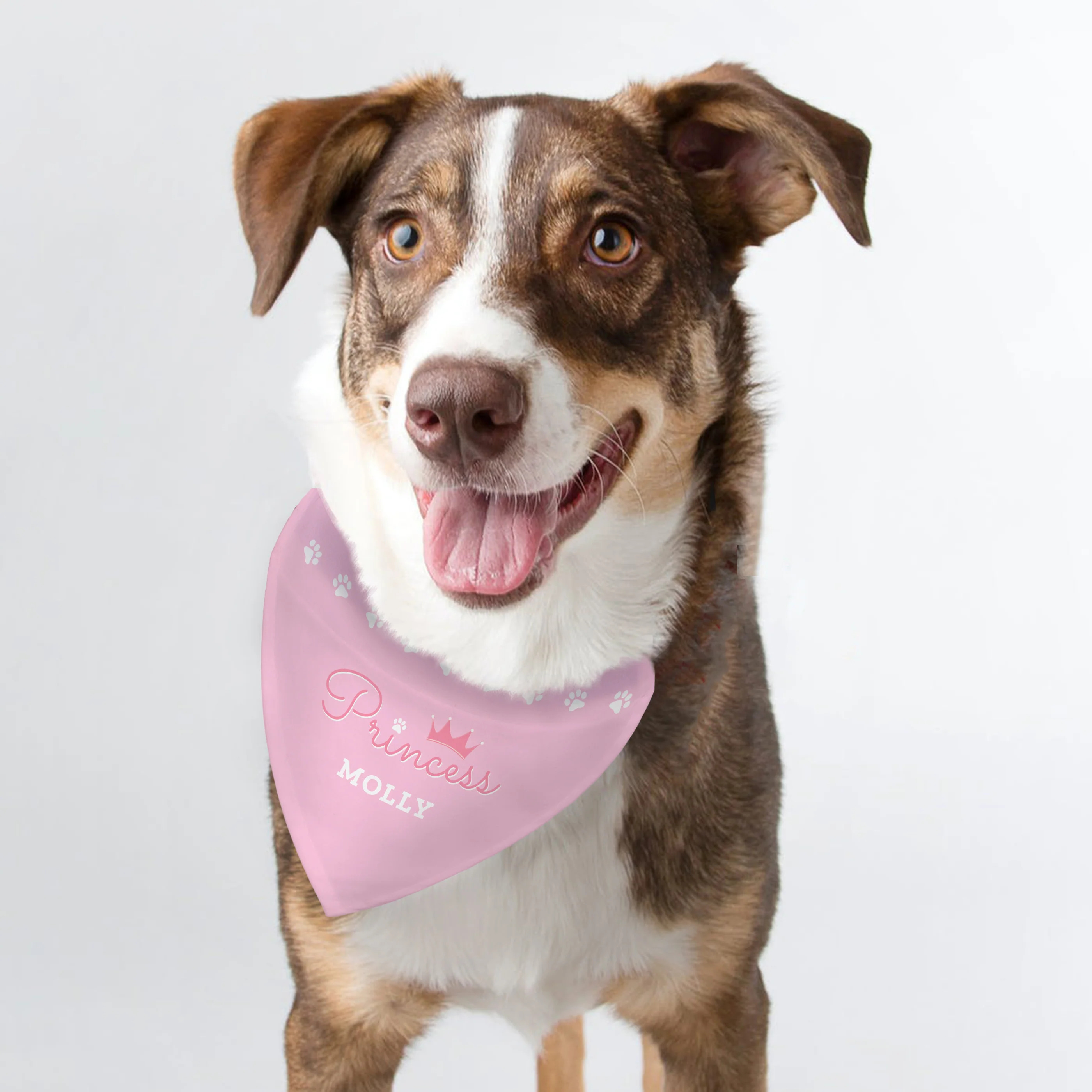 Personalised Princess Dog Bandana - Image 3