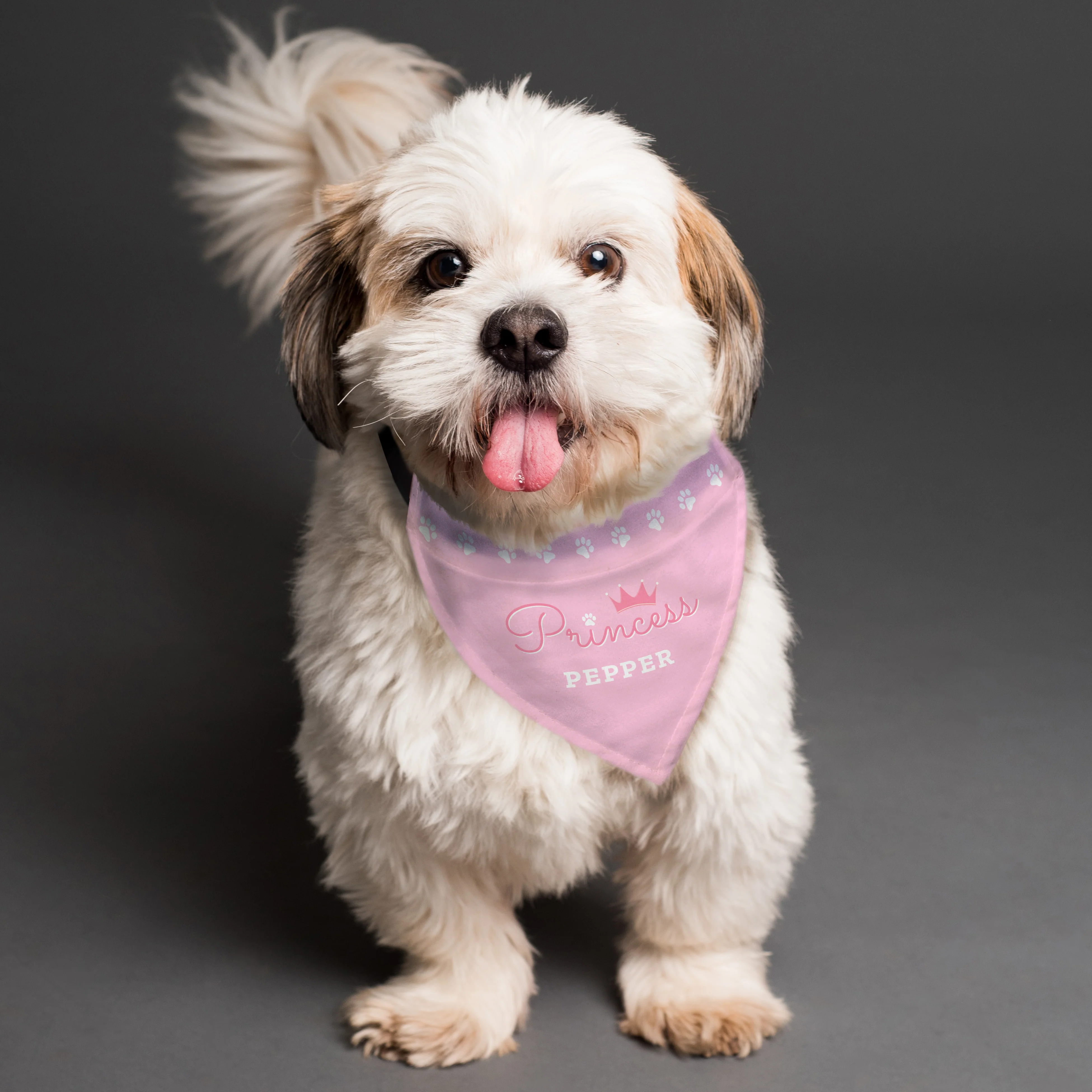Personalised Princess Dog Bandana - Image 4
