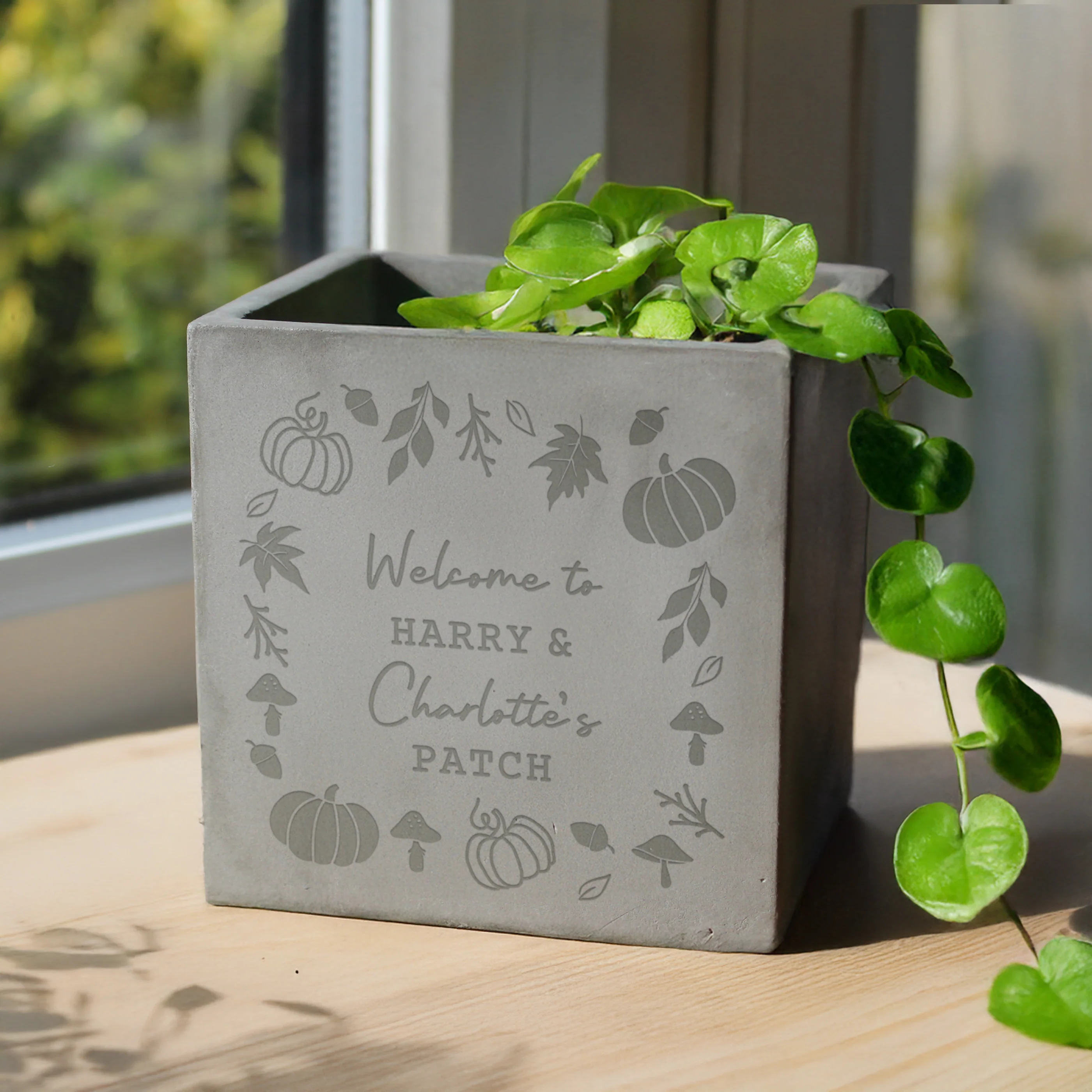 Personalised Pumpkin Concrete Plant Pot - Image 2