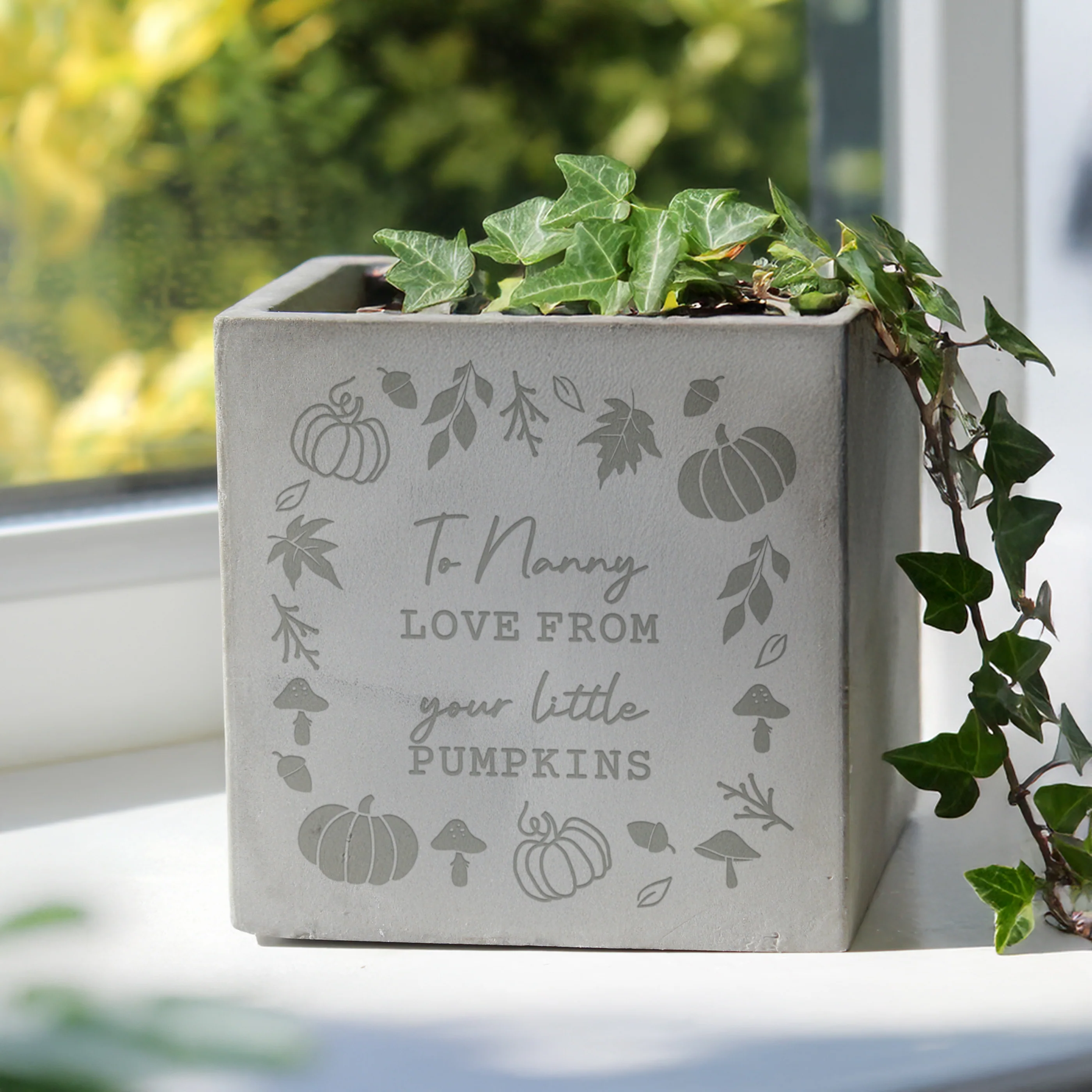 Personalised Pumpkin Concrete Plant Pot - Image 3