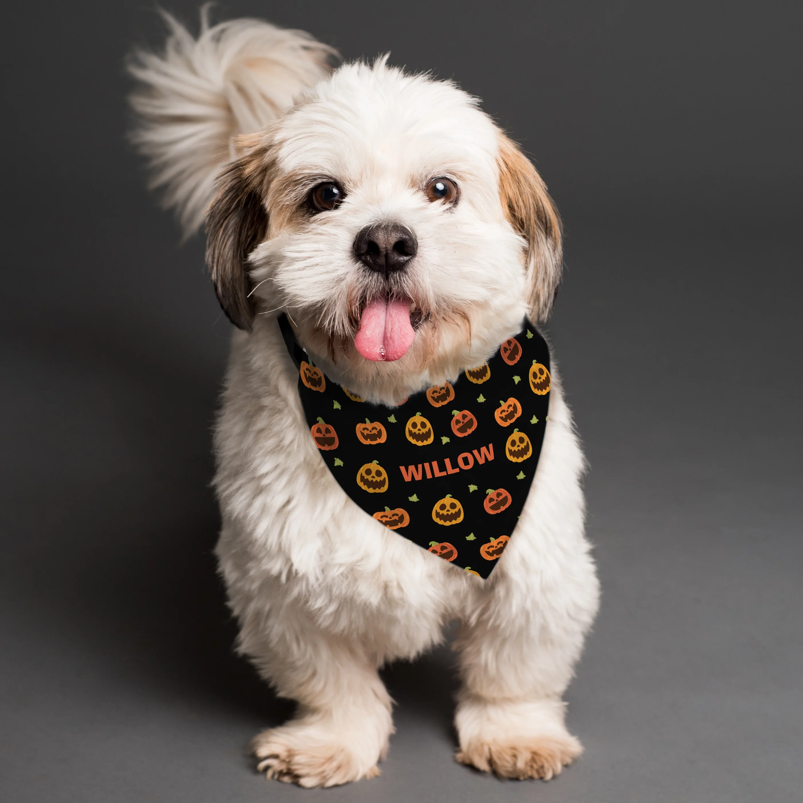 Personalised Pumpkin Patch Dog Bandana - Image 3