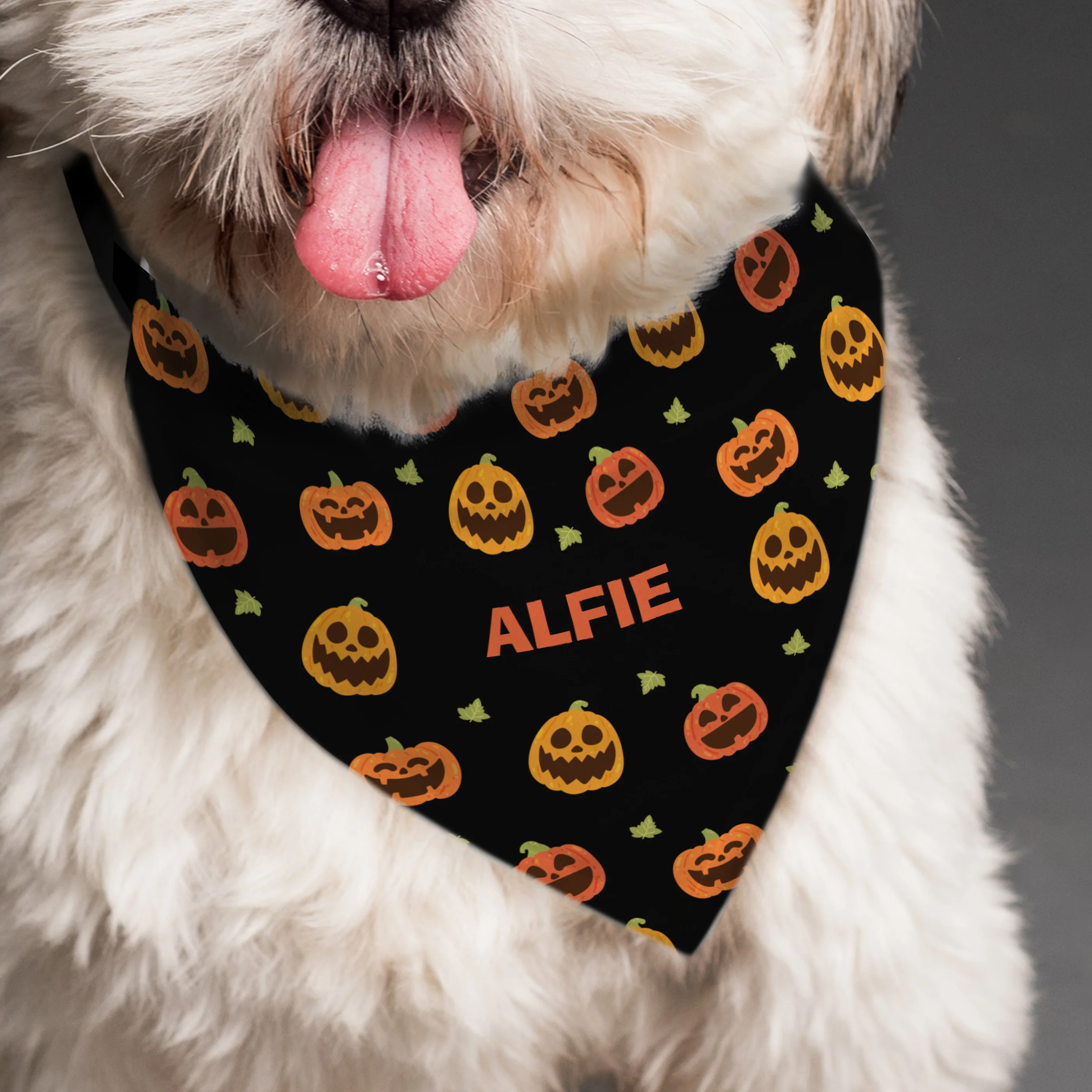 Personalised Pumpkin Patch Dog Bandana - Image 4