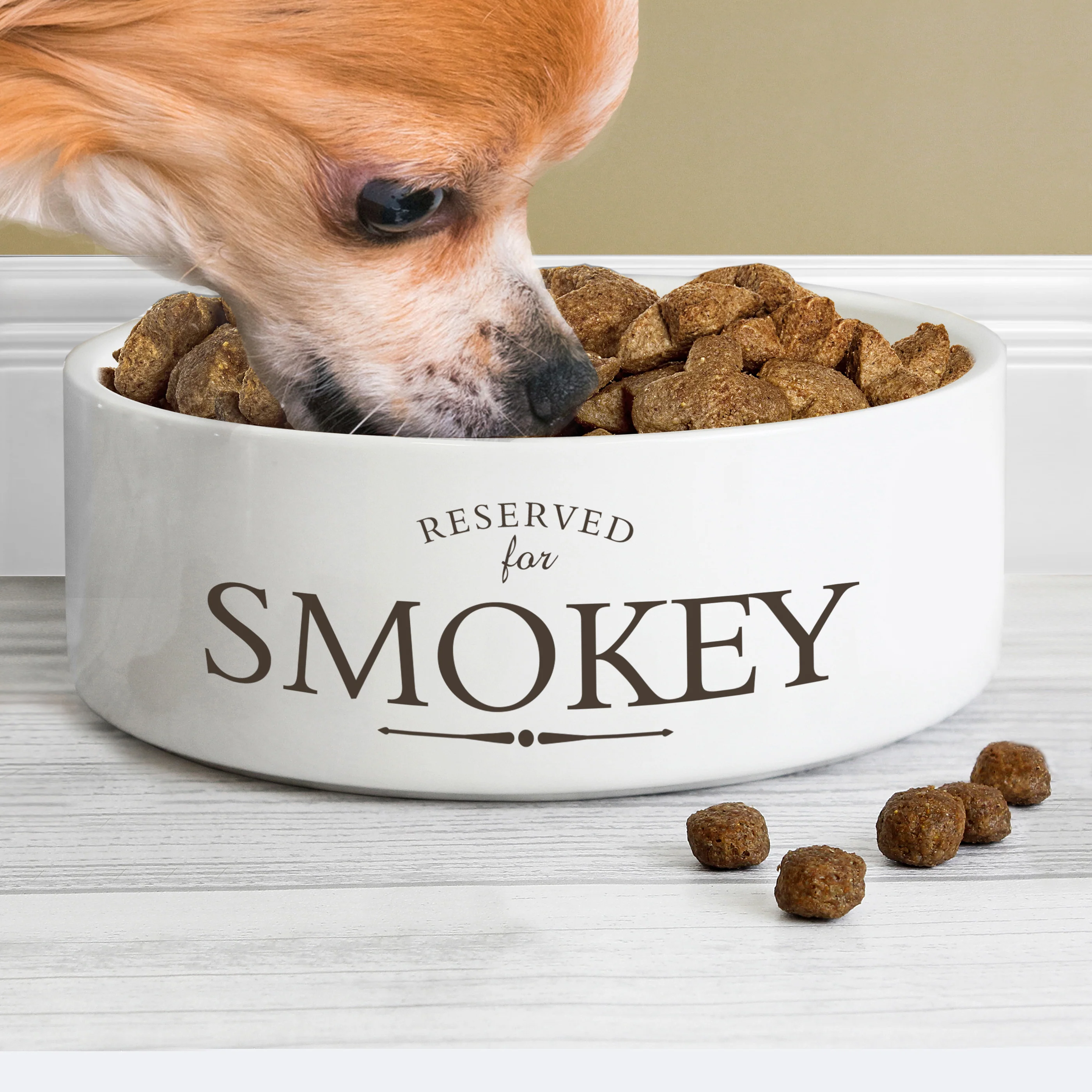 Personalised Reserved For 14cm Medium White Pet Bowl - Image 4