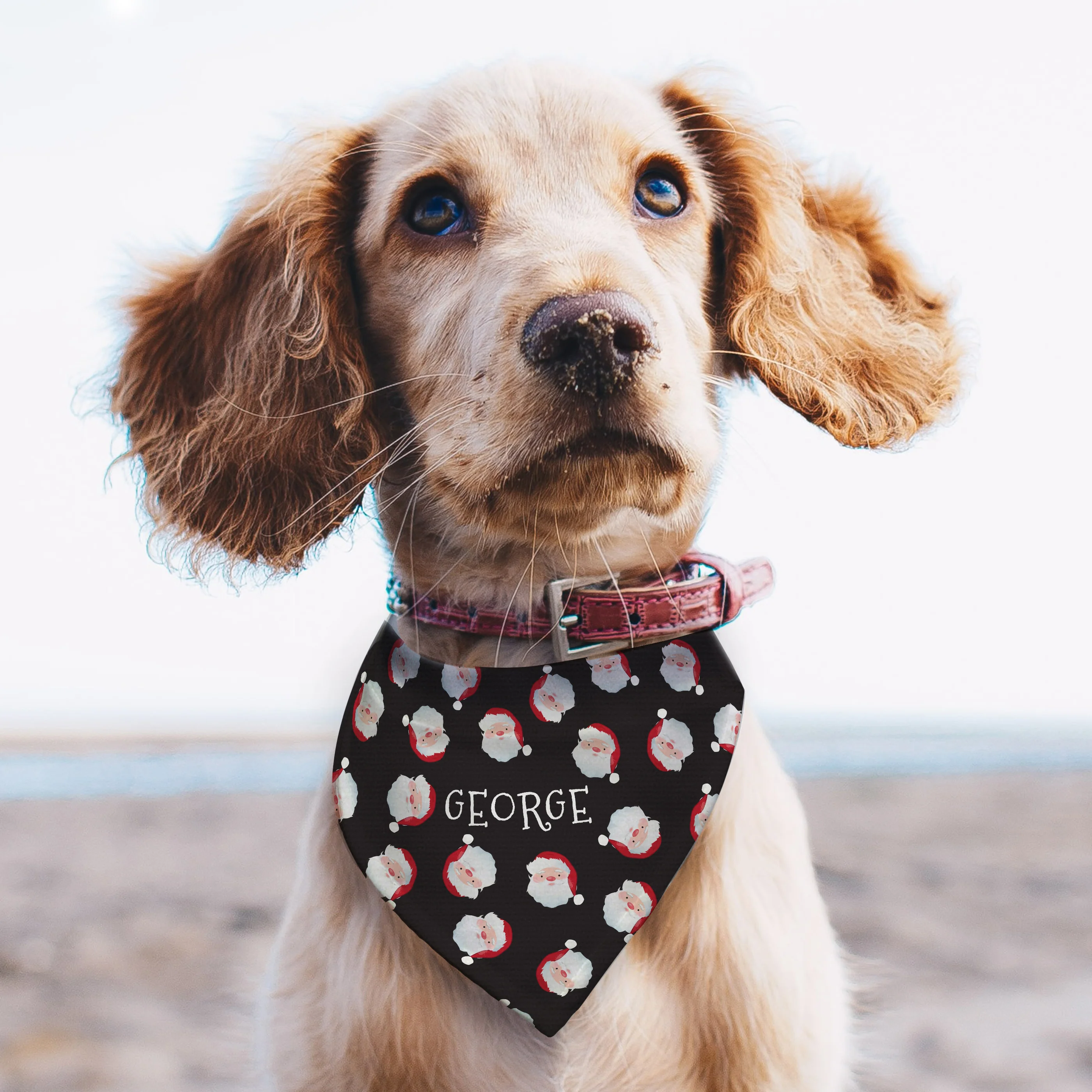 Personalised Santa Black Dog Bandana - Image 3
