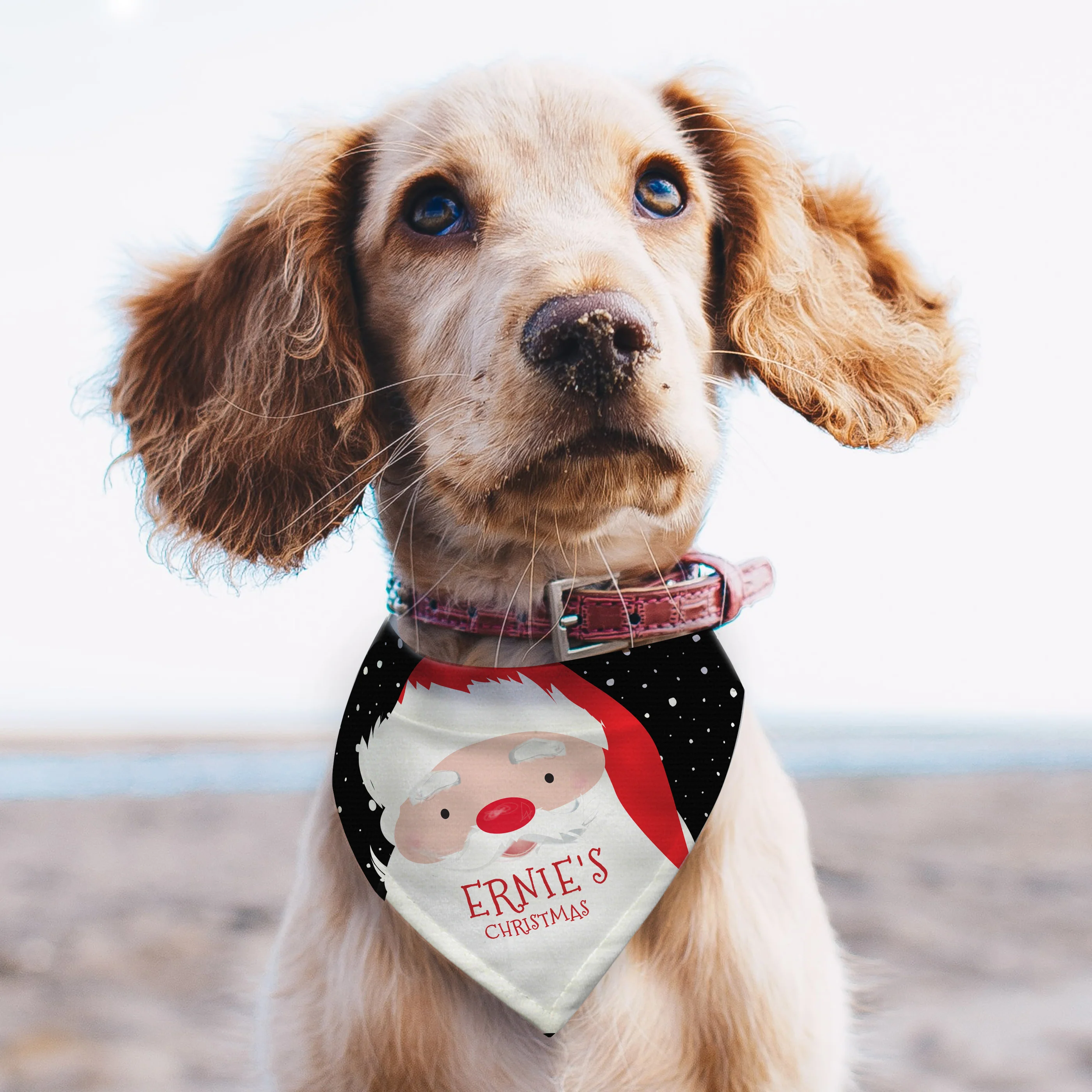 Personalised Santa Dog Bandana - Image 3