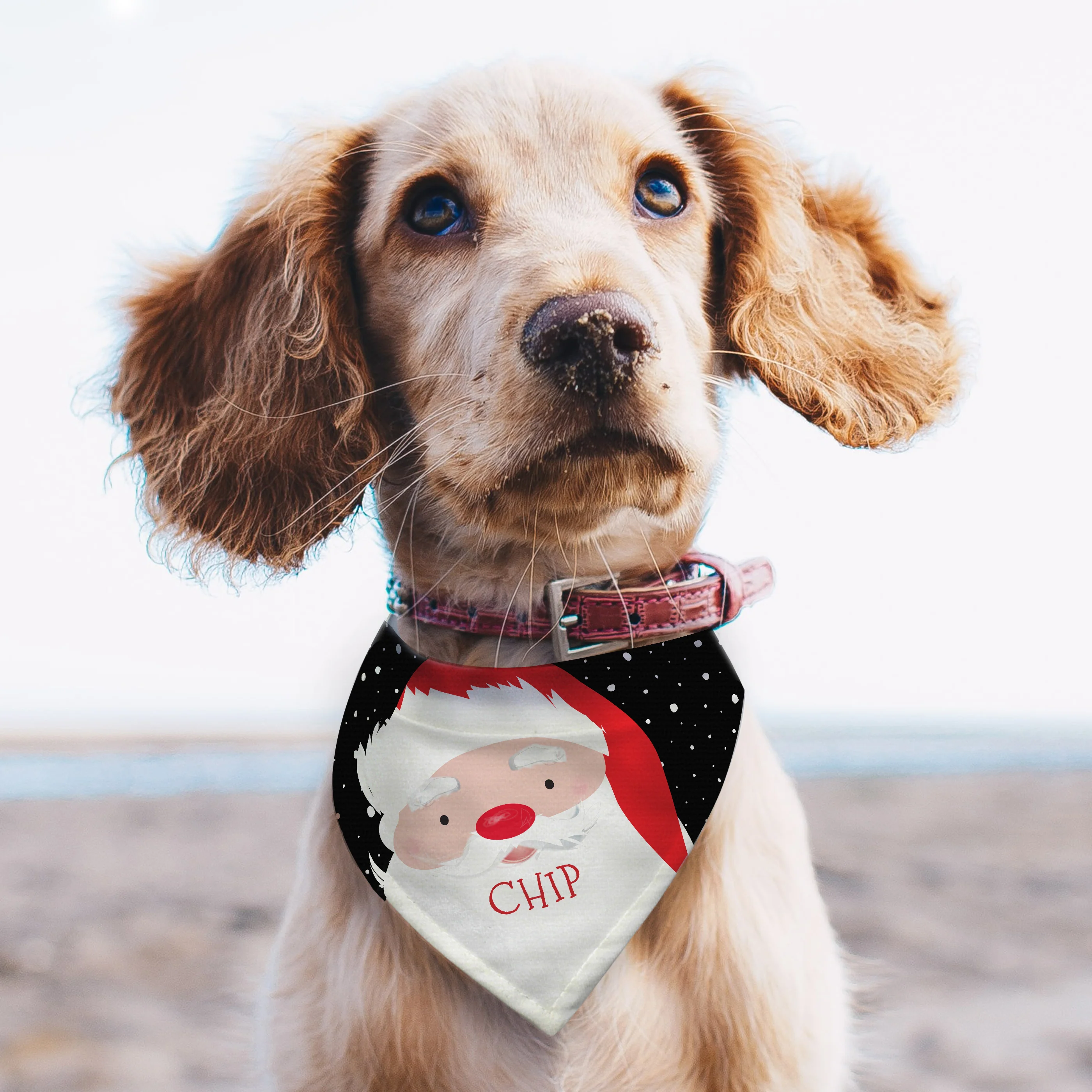 Personalised Santa Dog Bandana - Image 4