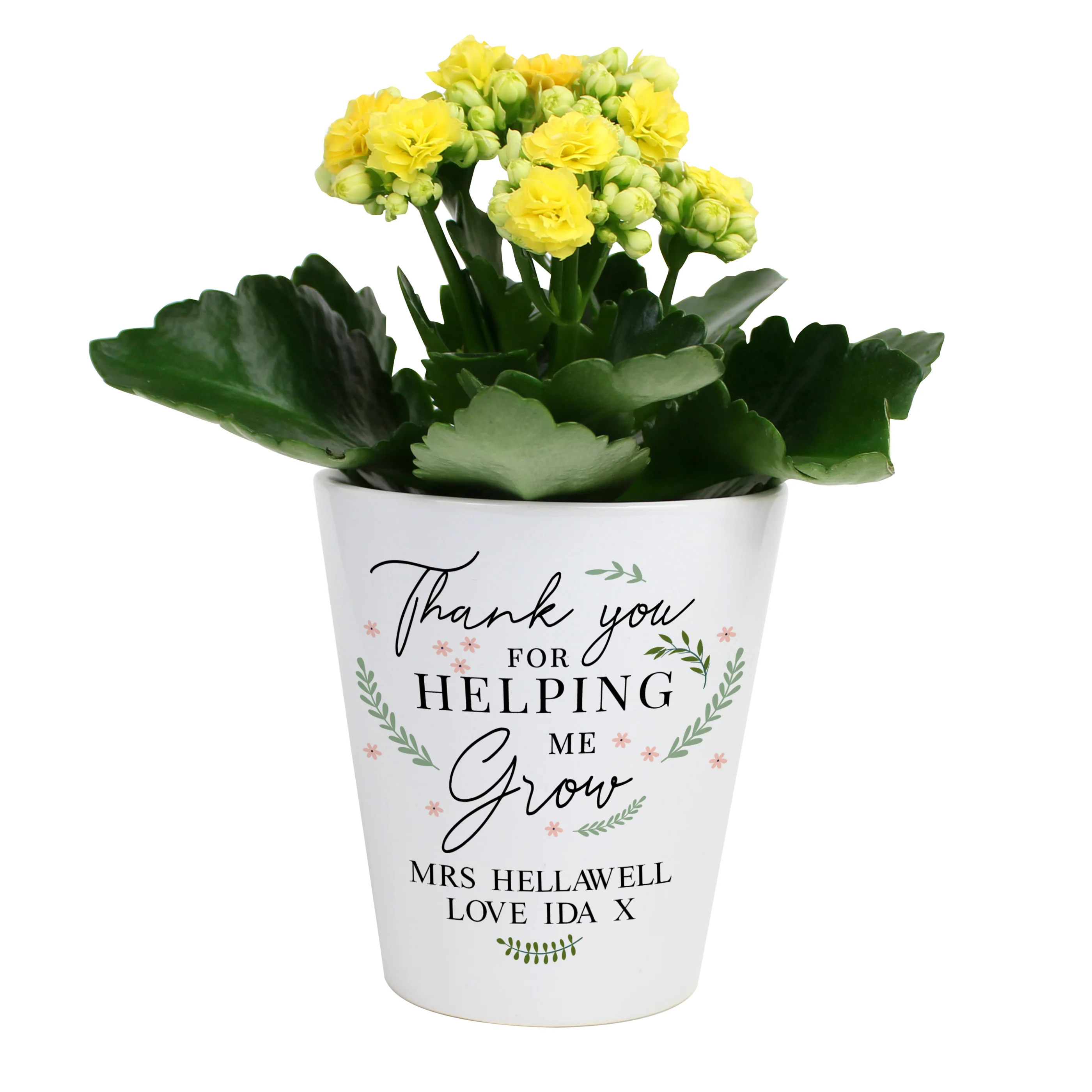 Personalised Thank You For Helping Me Grow Plant Pot - Image 2