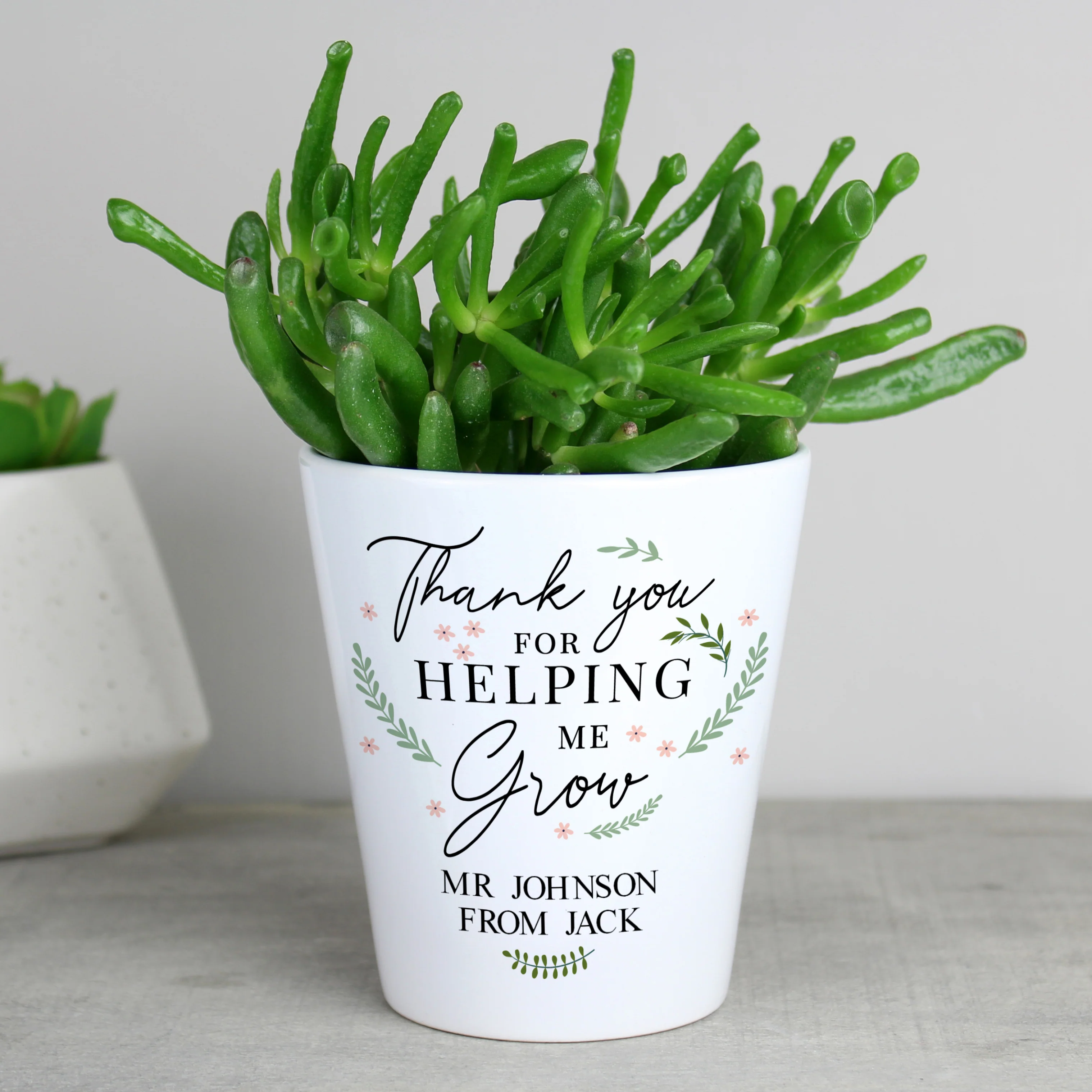 Personalised Thank You For Helping Me Grow Plant Pot - Image 4