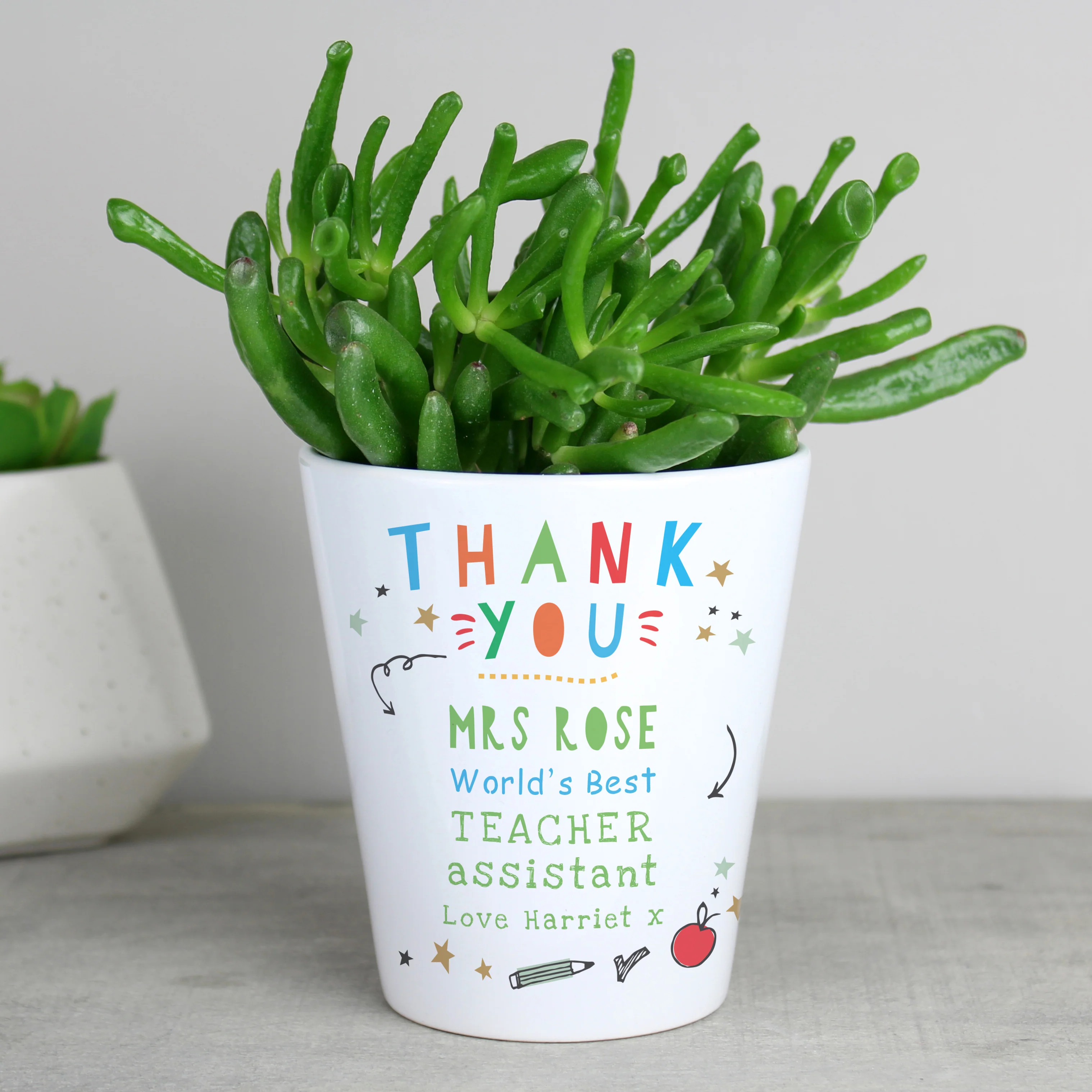 Personalised Thank You Teacher Plant Pot - Image 6
